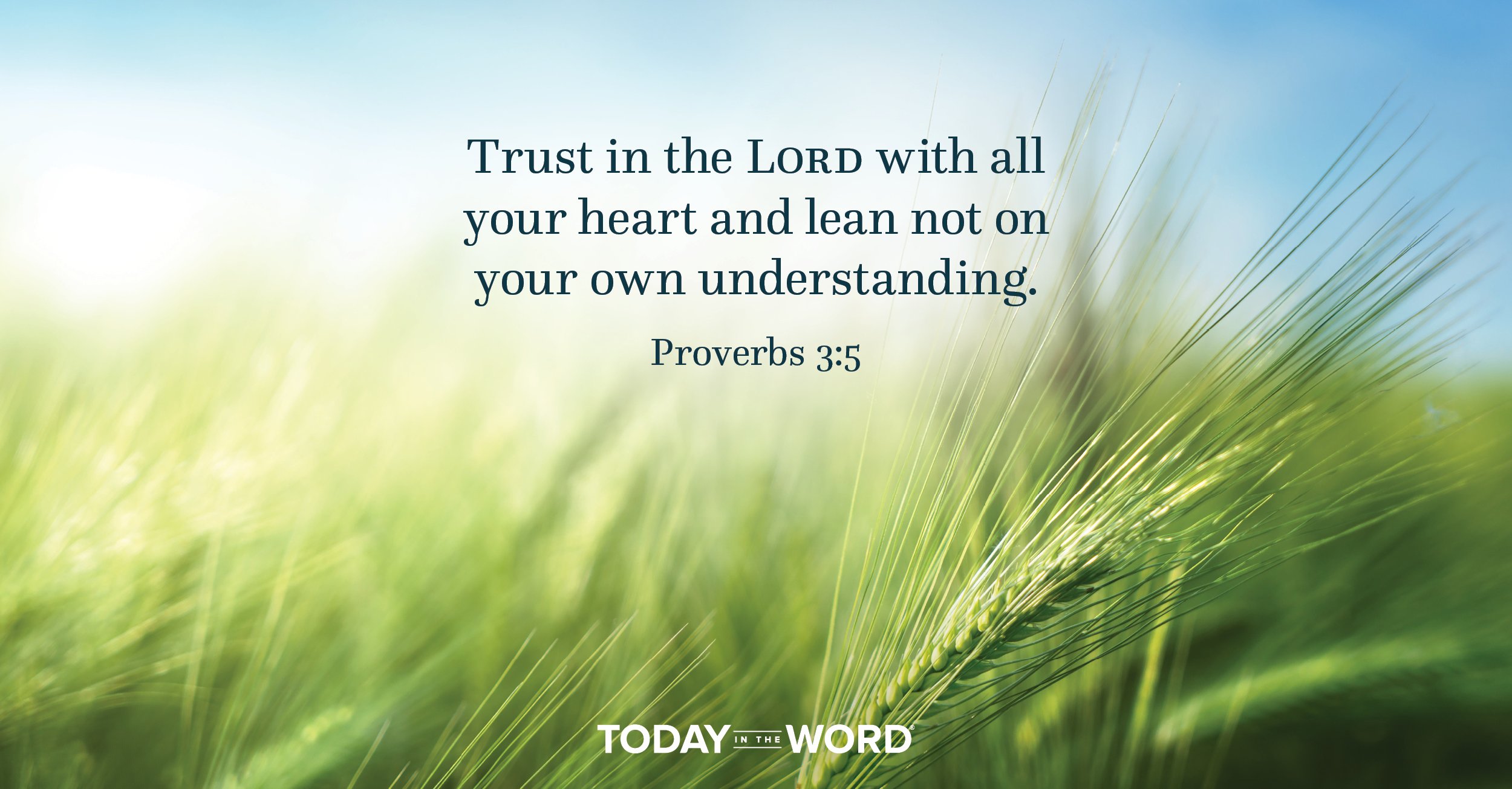 Daily Devotional Bible Verse | Proverbs 3:5 Trust in the Lord with all your heart and lean not on your own understanding.