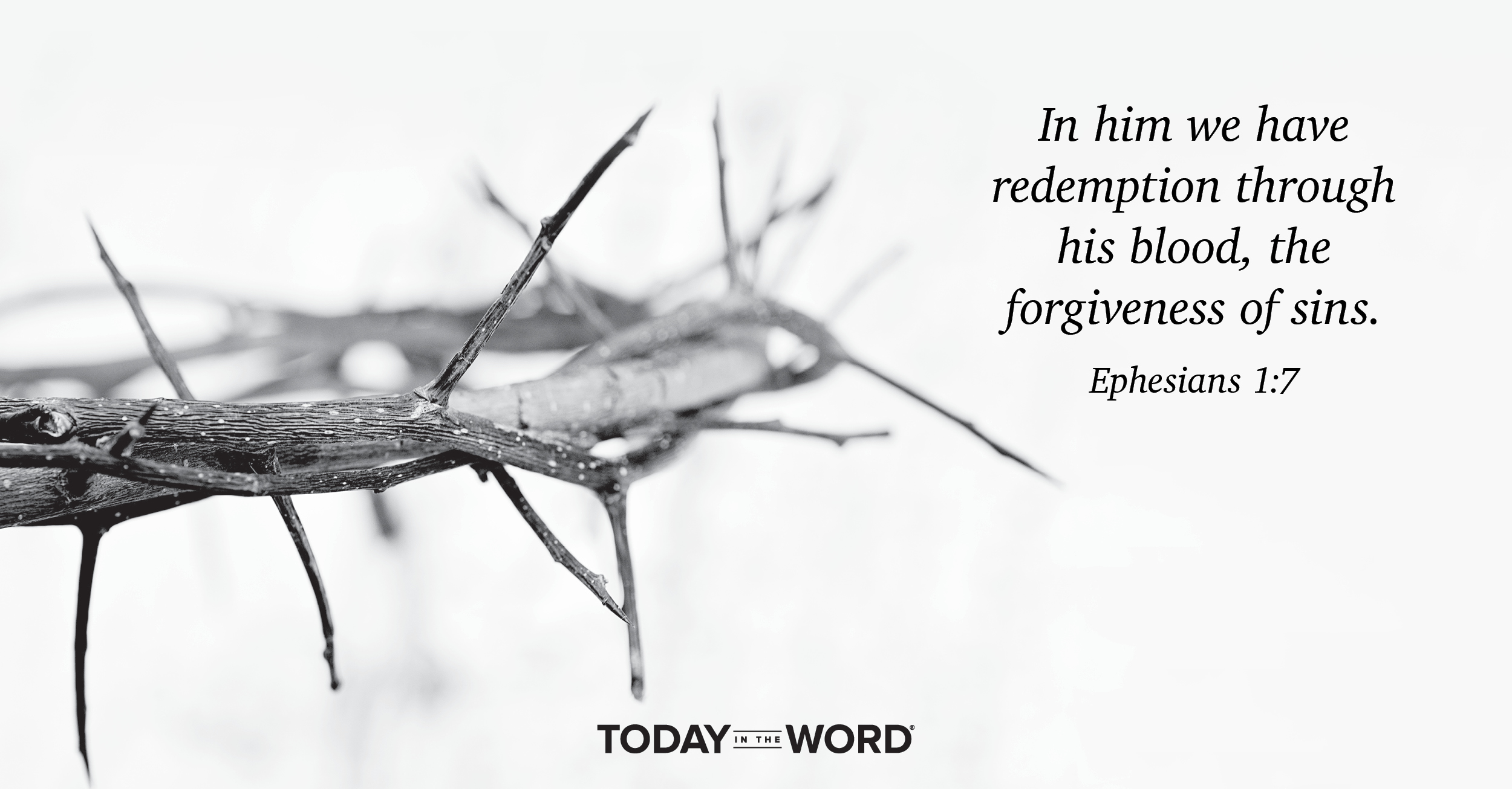 Daily Devotional Bible Verse | Ephesians 1:7 In him we have redemption through his blood, the forgiveness of sins.