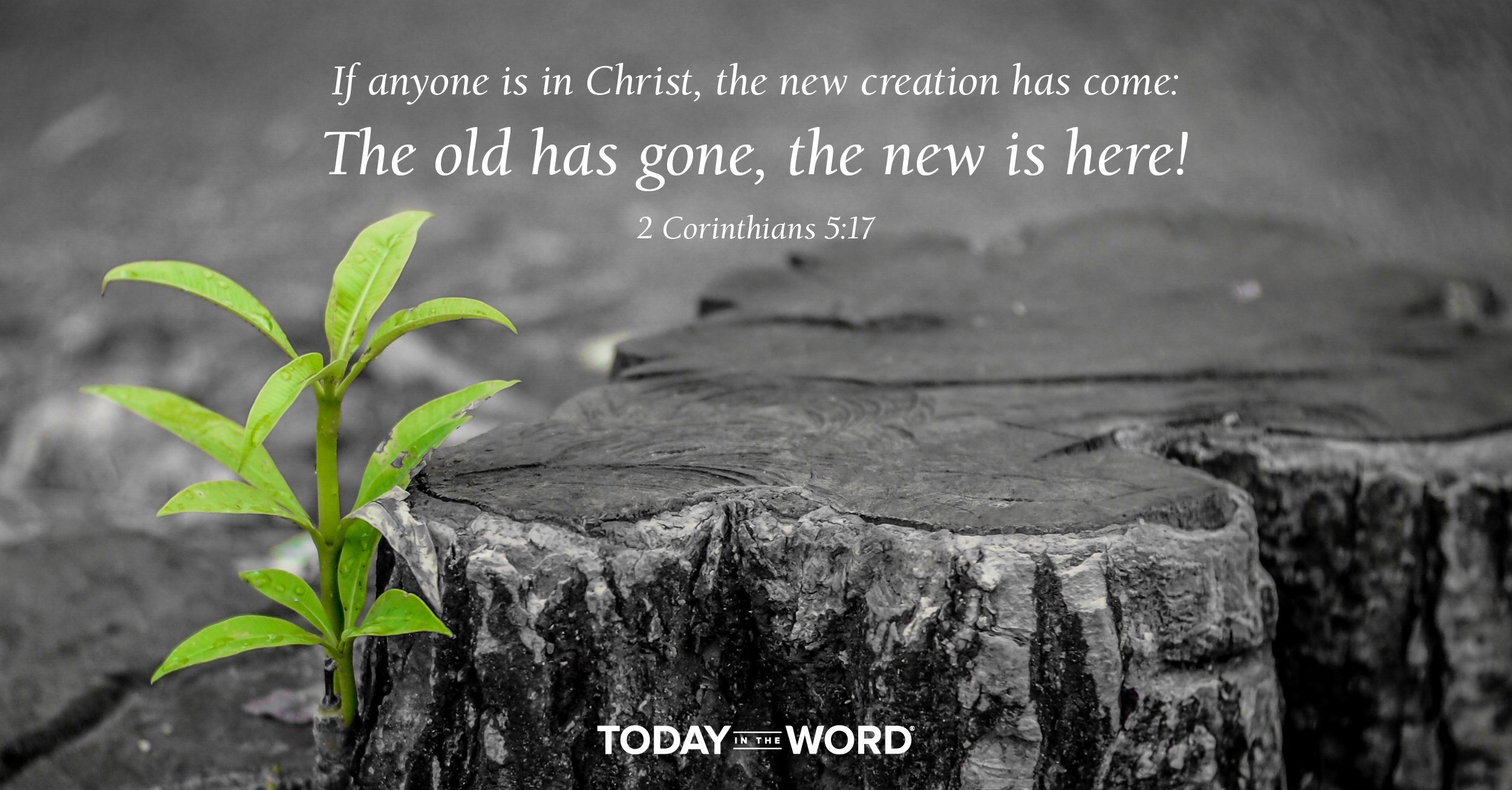 Daily Devotional Bible Verse | 2 Corinthians 5:17 If anyone is in Christ, the new creation has come: The old has gone, the new is here!