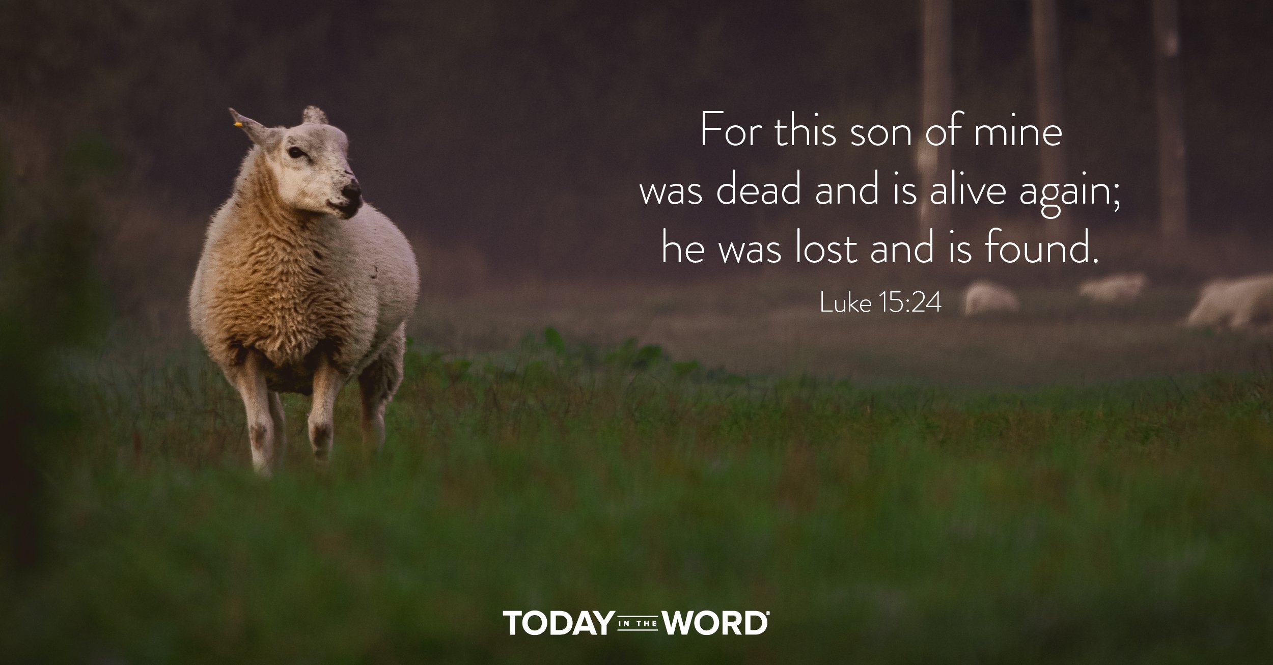 Daily Devotional Bible Verse | Luke 15:24 For this son of mine was dead and is alive again; he was lost and is found.