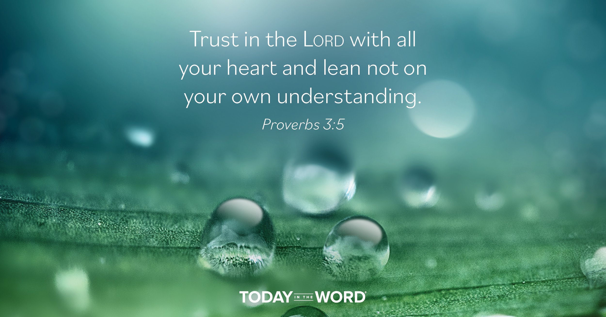 Daily Devotional Bible Verse | Proverbs 3:5 Trust in the Lord with all your heart and lean not on your own understanding.