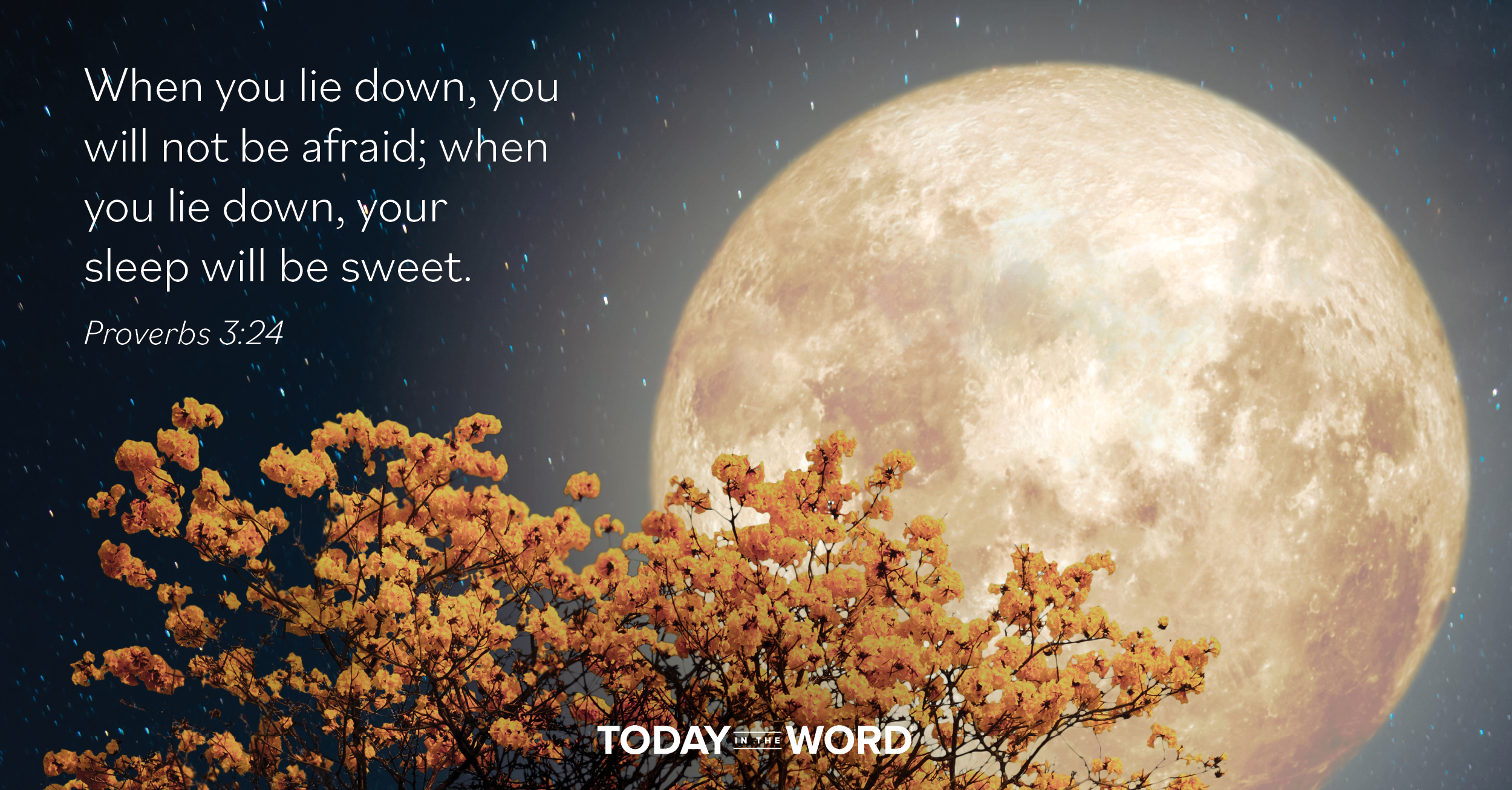 Daily Devotional Bible Verse | Proverbs 3:24 When you lie down, you will not be afraid; when you lie down, your sleep will be sweet.