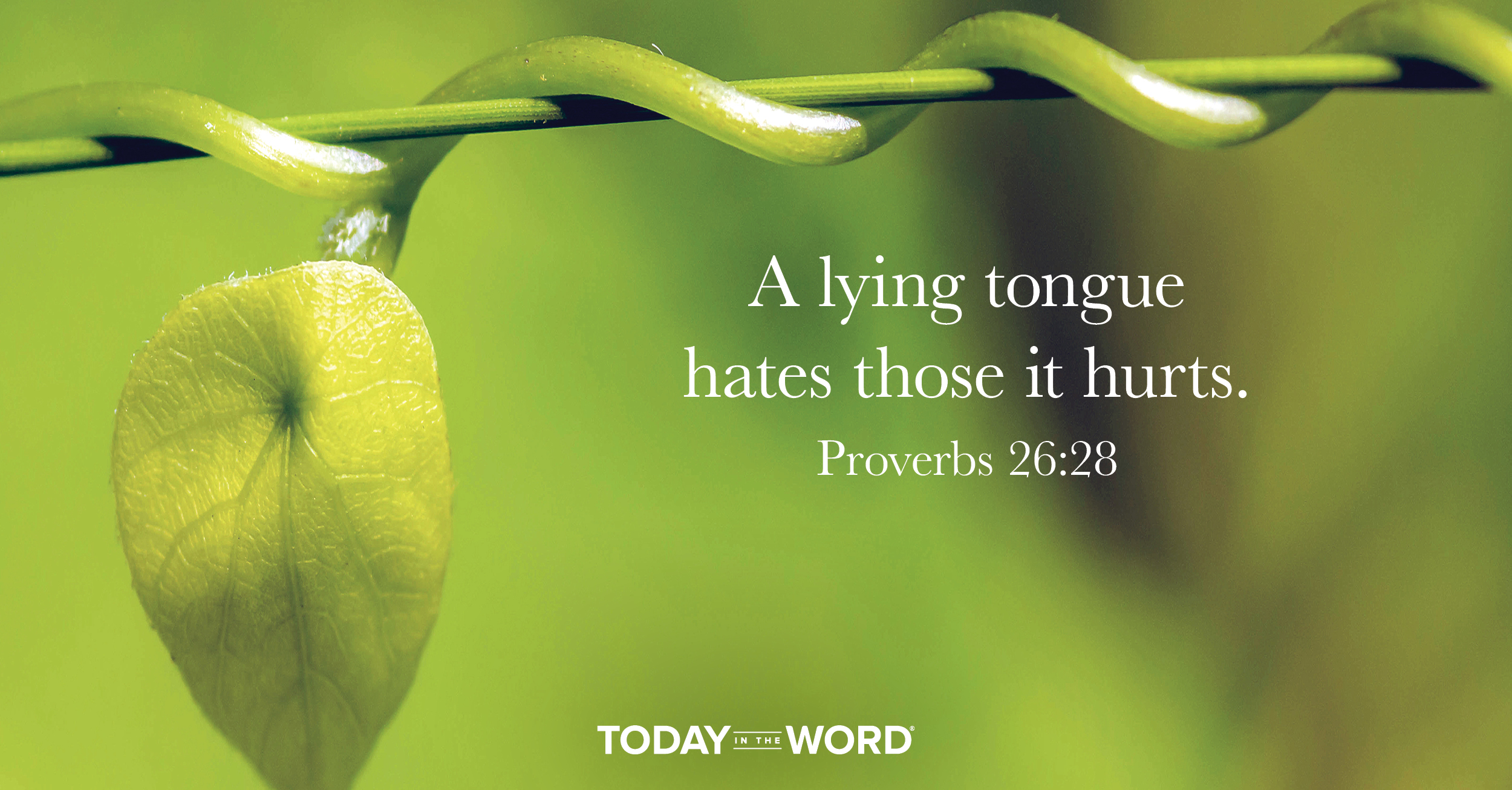 Daily Devotional Bible Verse | Proverbs 26:28 A lying tongue hates those it hurts.