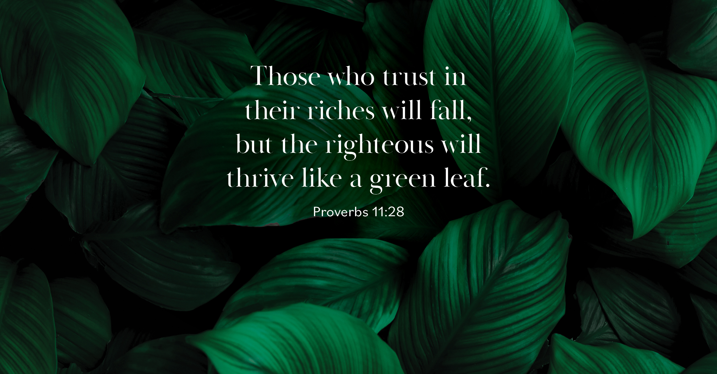 Daily Devotional Bible Verse | Proverbs 11:28 Those who trust in their riches will fall, but the righteous will thrive like a green leaf.