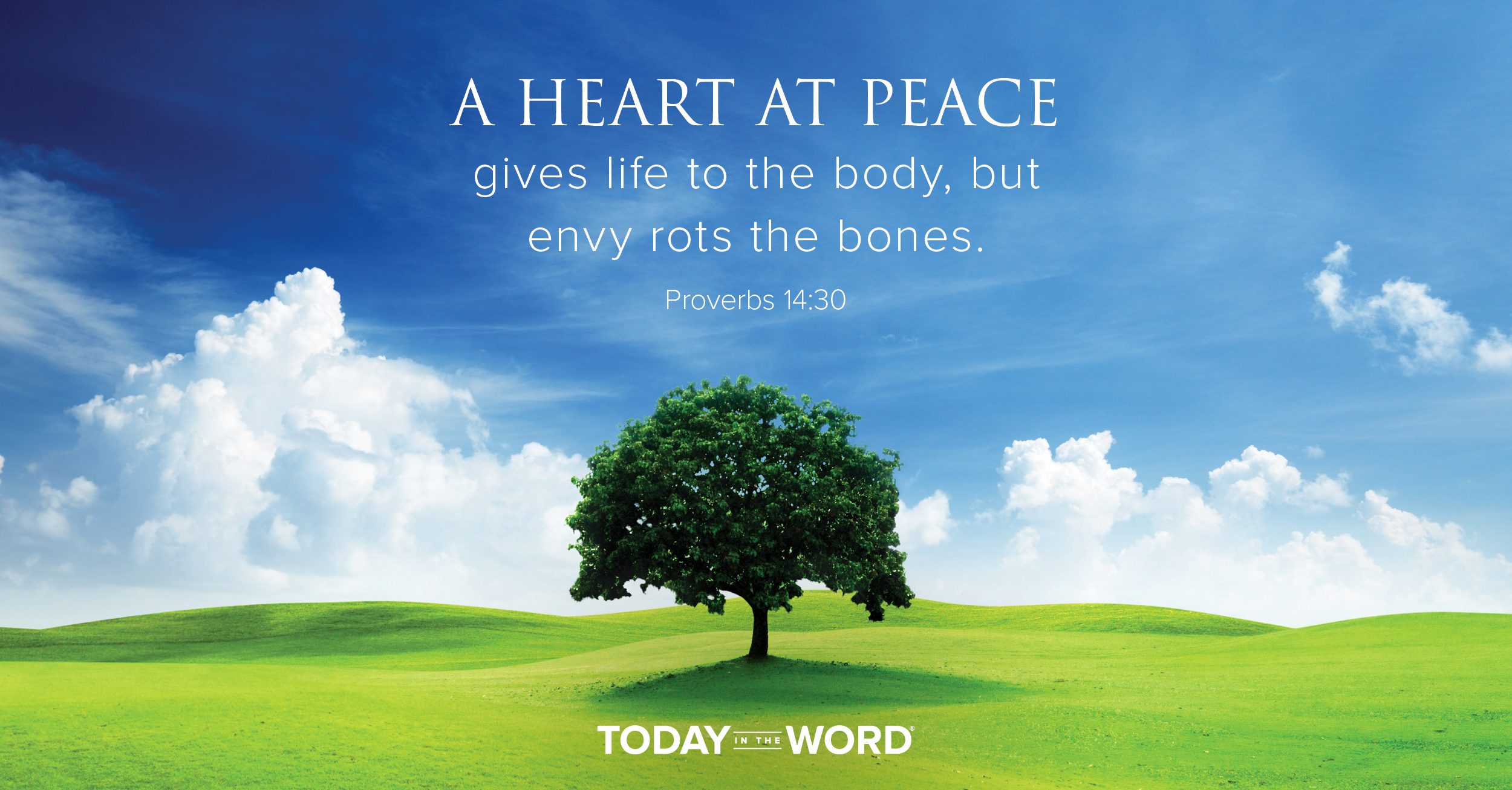 Daily Devotional Bible Verse | Proverbs 14:30 A heart at peace gives life to the body, but envy rots the bones.