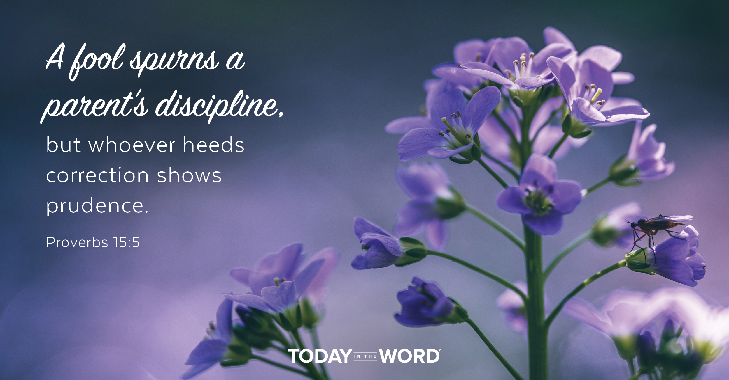 Daily Devotional Bible Verse | Proverbs 15:5 A fool spurns a parent's discipline, but whoever heeds correction shows prudence.