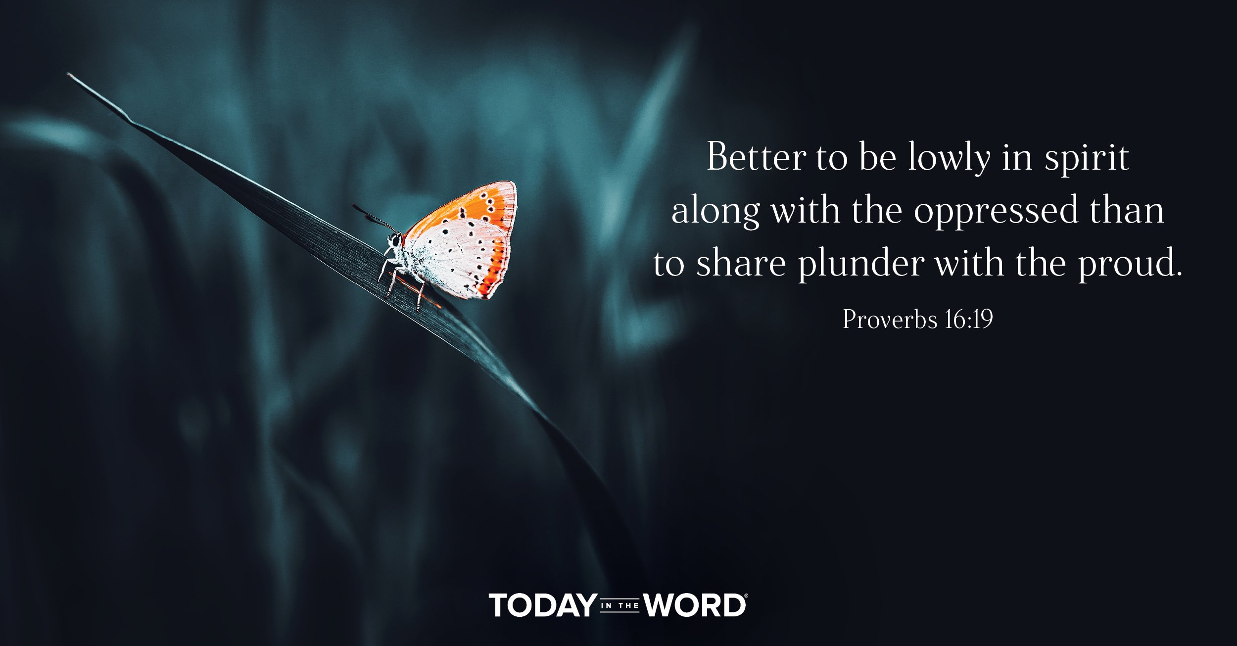 Daily Devotional Bible Verse | Proverbs 16:19 Better to be lowly in spirit along with the oppressed than to share plunder with the proud.