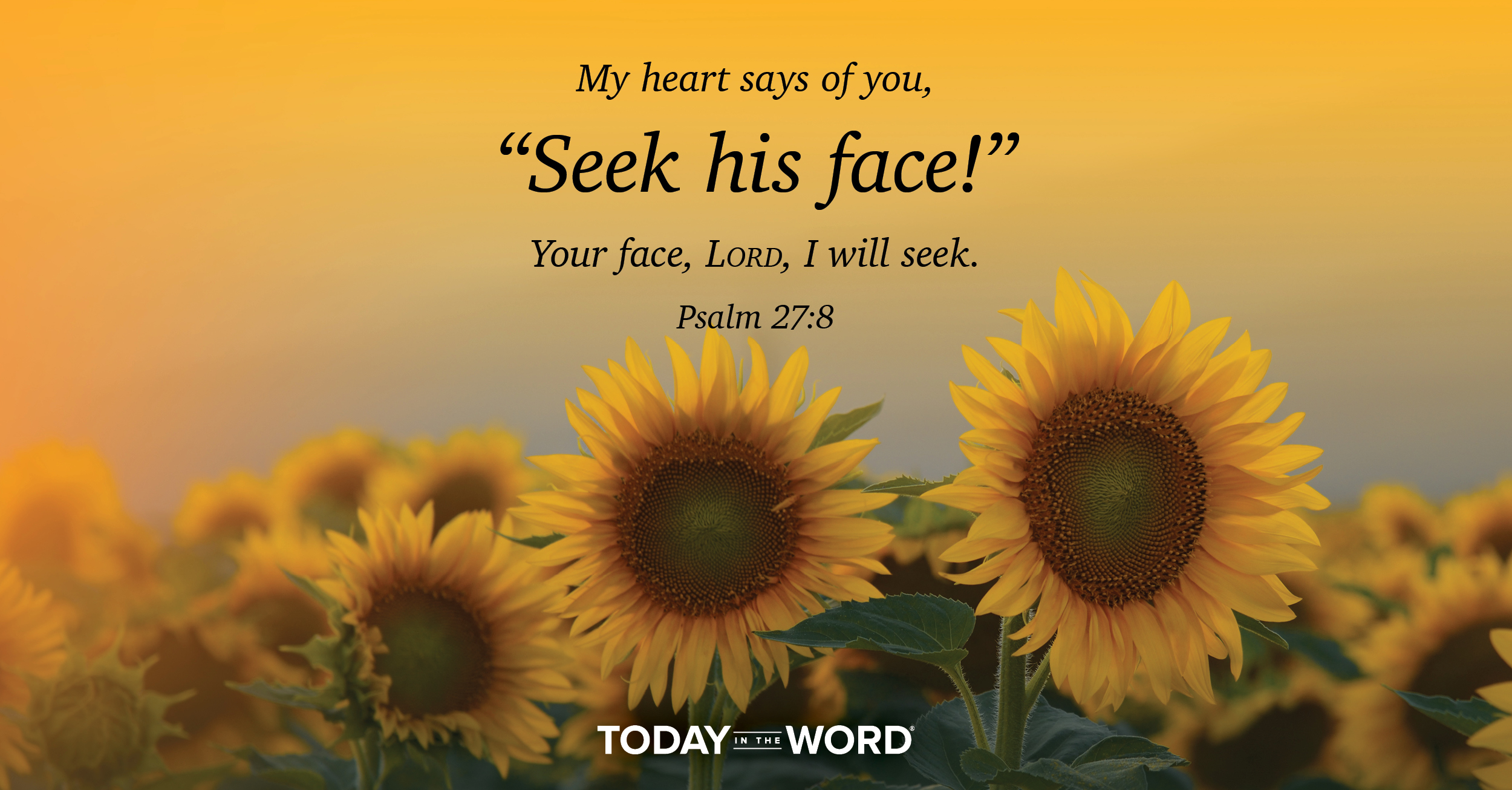 Daily Devotional Bible Verse | Psalm 27:8 My heart says of you, "Seek his face!" Your face, Lord, I will seek.