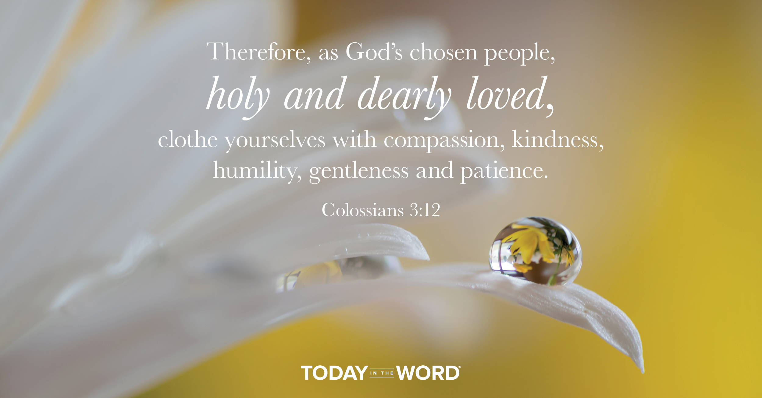 Daily Devotional Bible Verse | Colossians 3:12 Therefore, as God's chosen people, holy and dearly loved, clothe yourselves with compassion, kindness, humility, gentleness and patience.