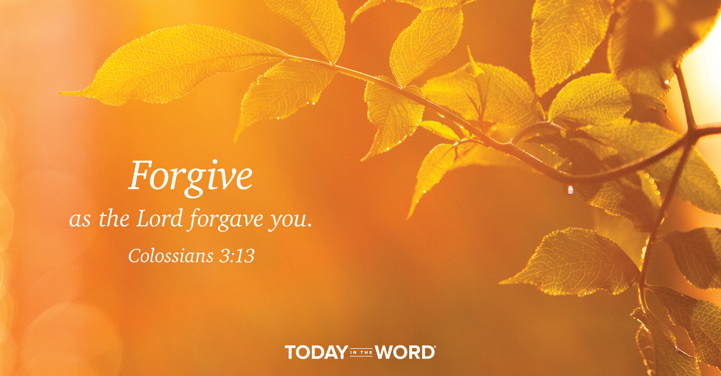 Daily Devotional Bible Verse | Colossians 3:13 Forgive as the Lord forgave you.