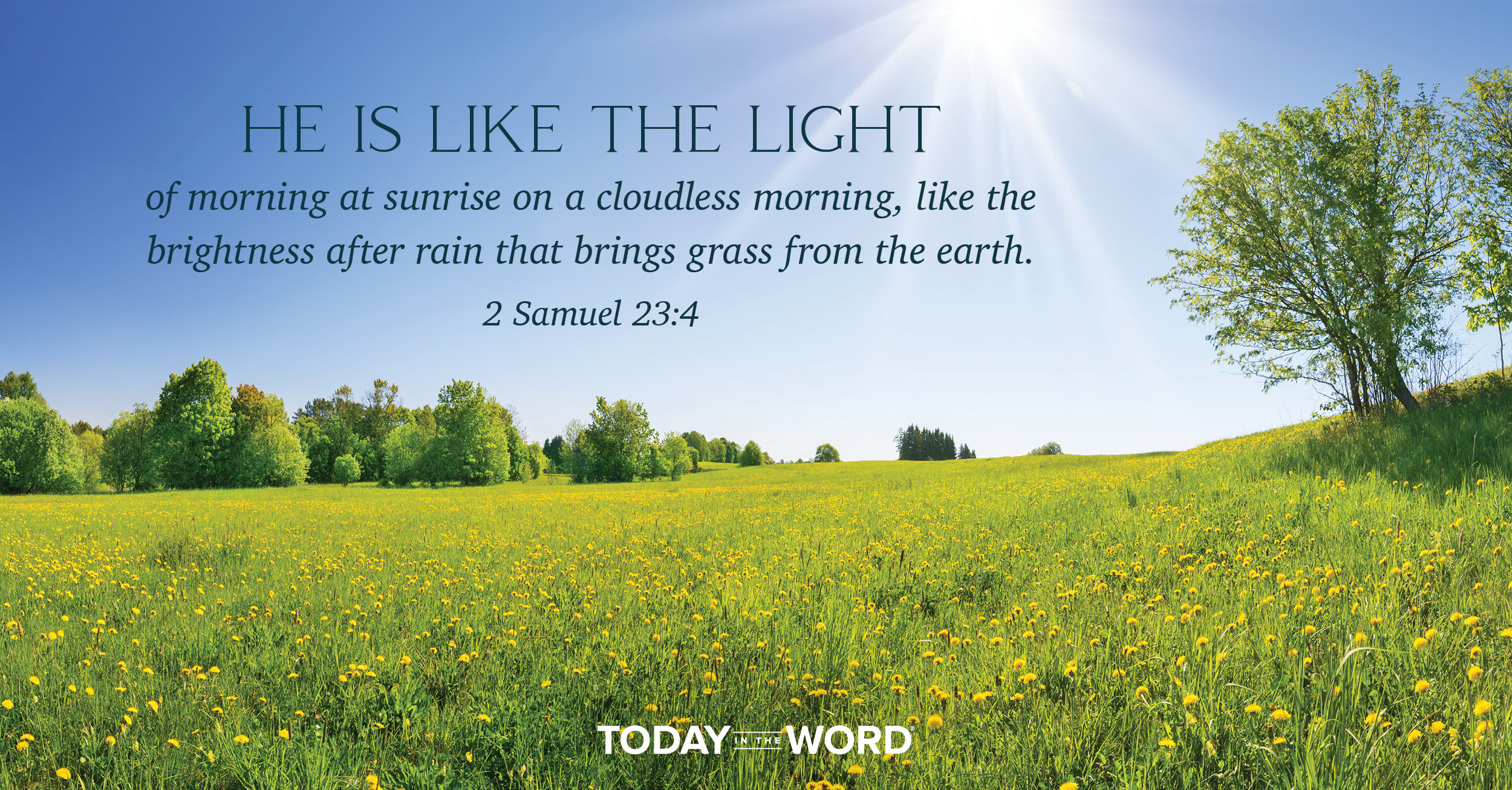 Daily Devotional Bible Verse | 2 Samuel 23:4 He is like the light of morning at sunrise on a cloudless morning, like the brightness after rain that brings grass from the earth.