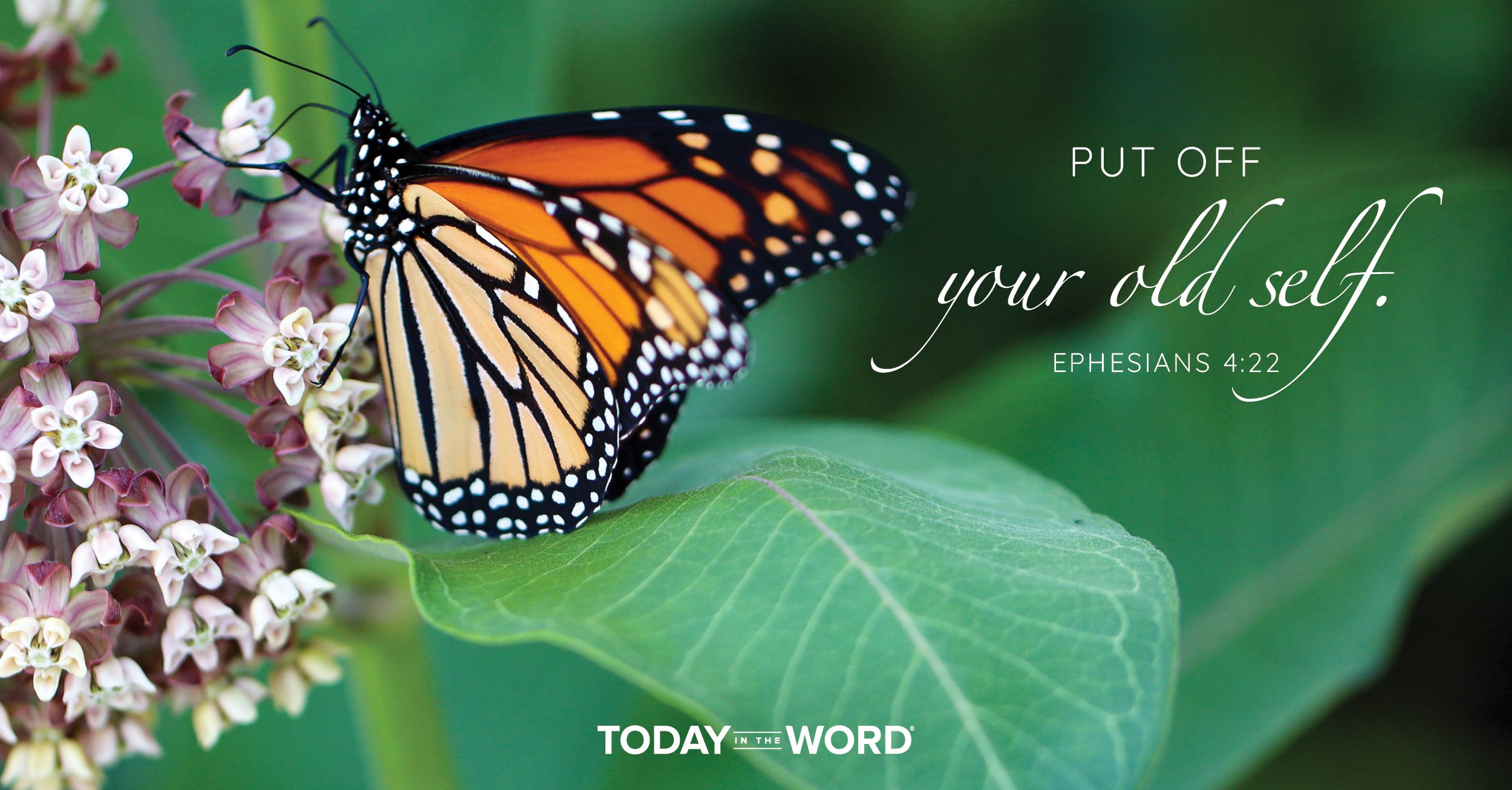 Daily Devotional Bible Verse | Ephesians 4:22 Put off your old self.