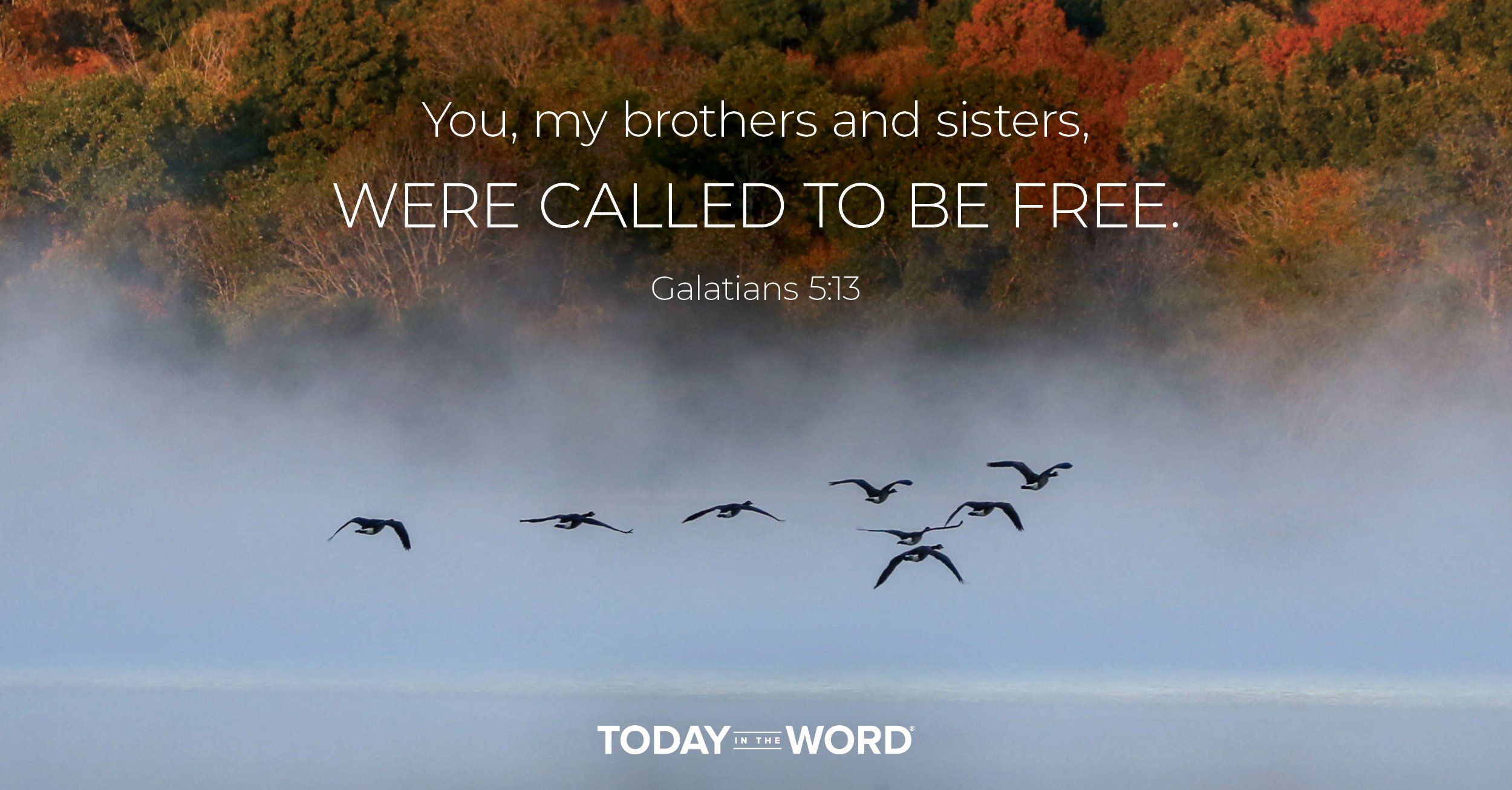 Daily Devotional Bible Verse | Galatians 5:13 You, my brothers and sisters, were called to be free.