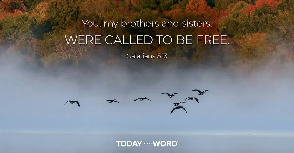 Daily Devotional Bible Verse | Galatians 5:13 You, my brothers and sisters, were called to be free.