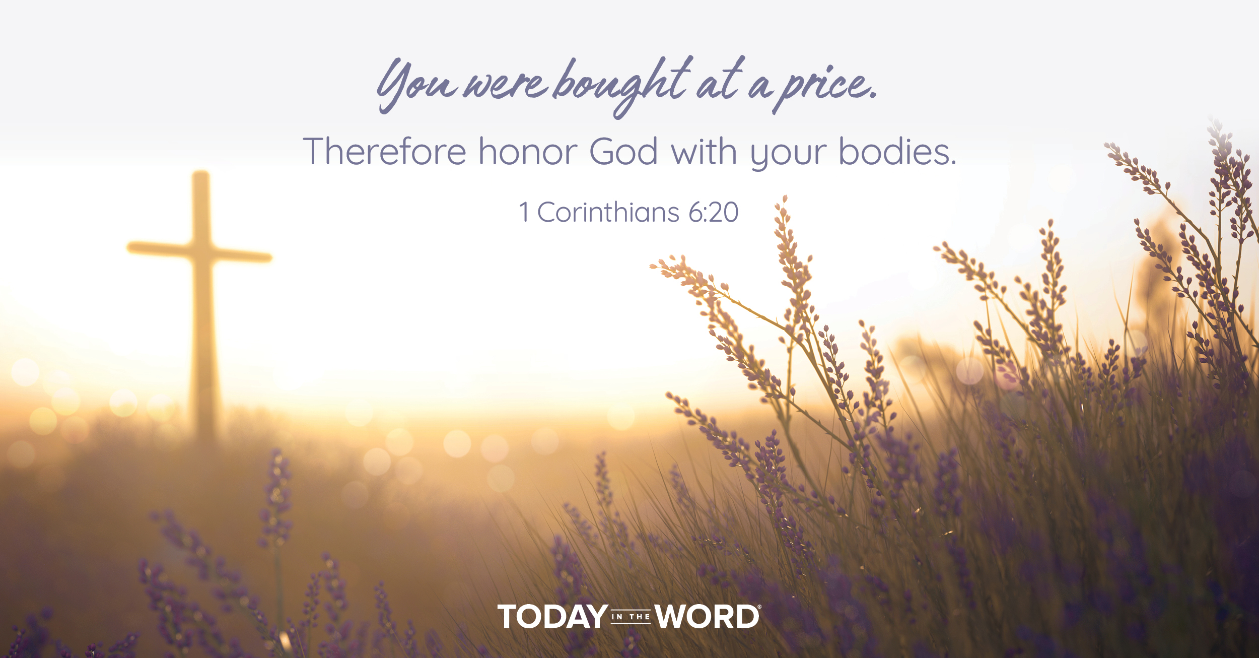 Daily Devotional Bible Verse | 1 Corinthians 6:20 You were bought at a price. Therefore honor God with your bodies.