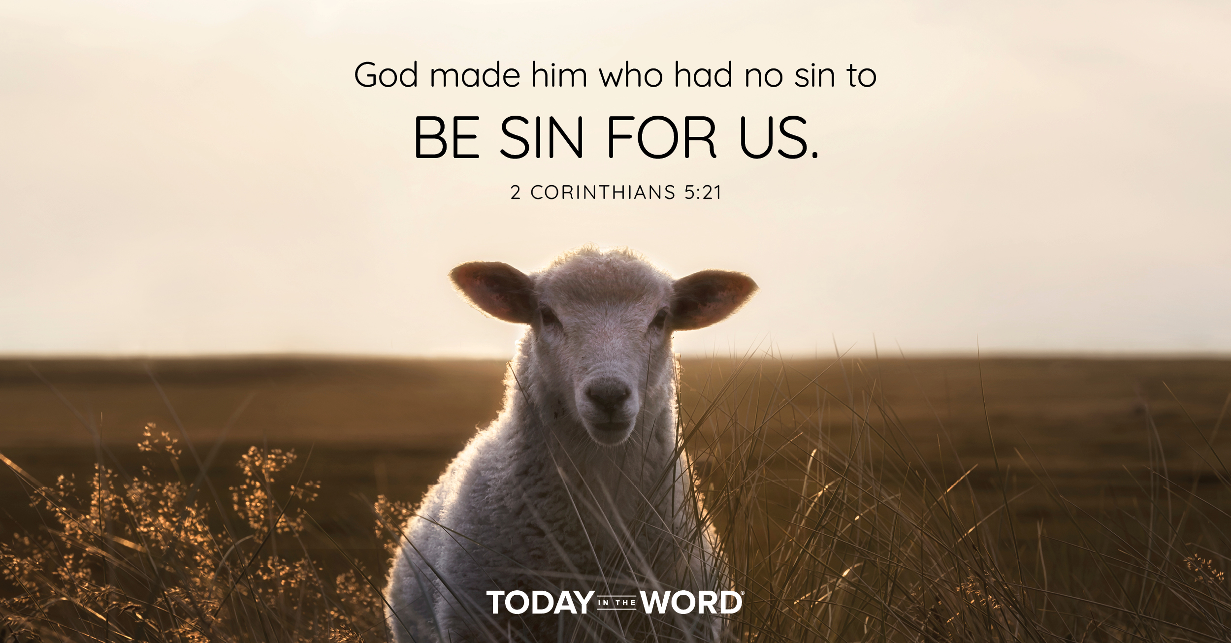 Daily Devotional Bible Verse | 2 Corinthians 5:21 God made him who had no sin to be sin for us.