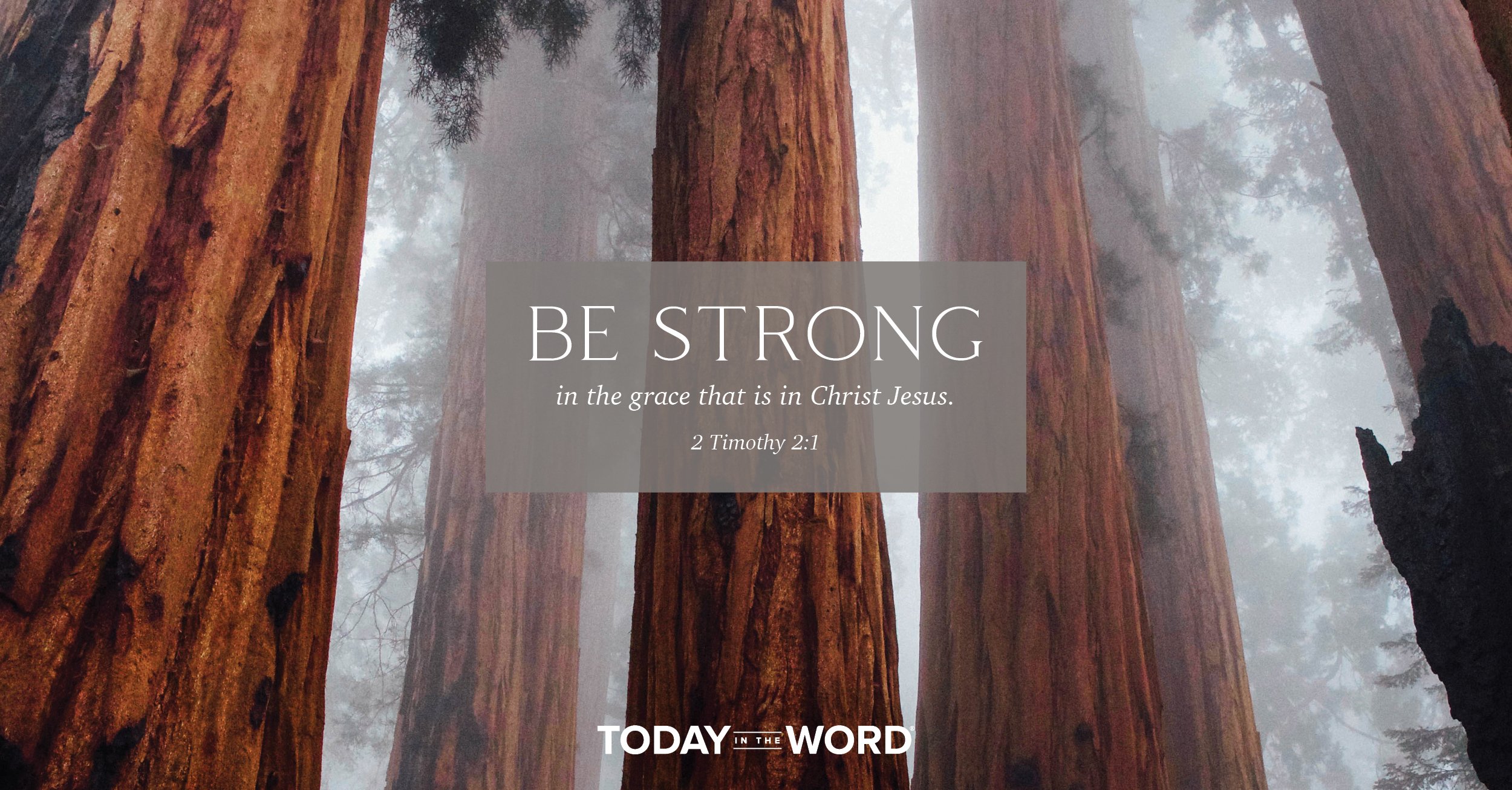 Daily Devotional Bible Verse | 2 Timothy 2:1 Be strong in the grace that is in Christ Jesus.