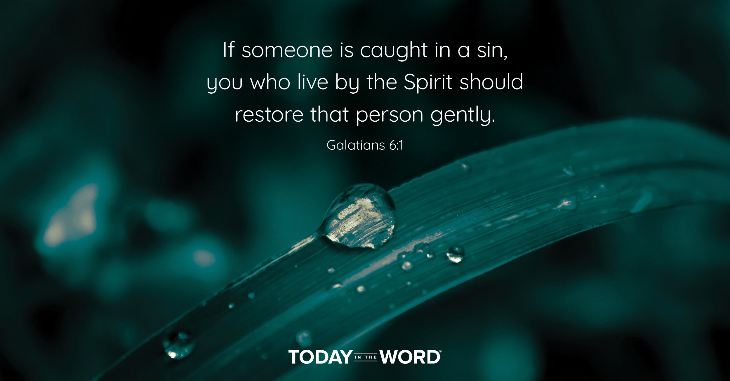 Daily Devotional Bible Verse | Galatians 6:1 If someone is caught in a sin, you who live by the Spirit should restore that person gently.