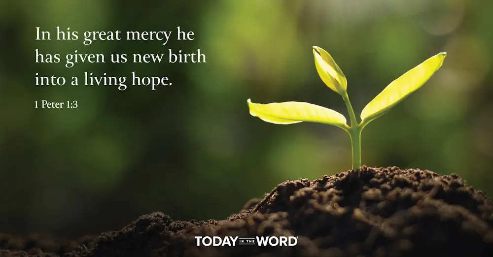 Daily Devotional Bible Verse | 1 Peter 1:3 In his great mercy he has given us new birth into a living hope.