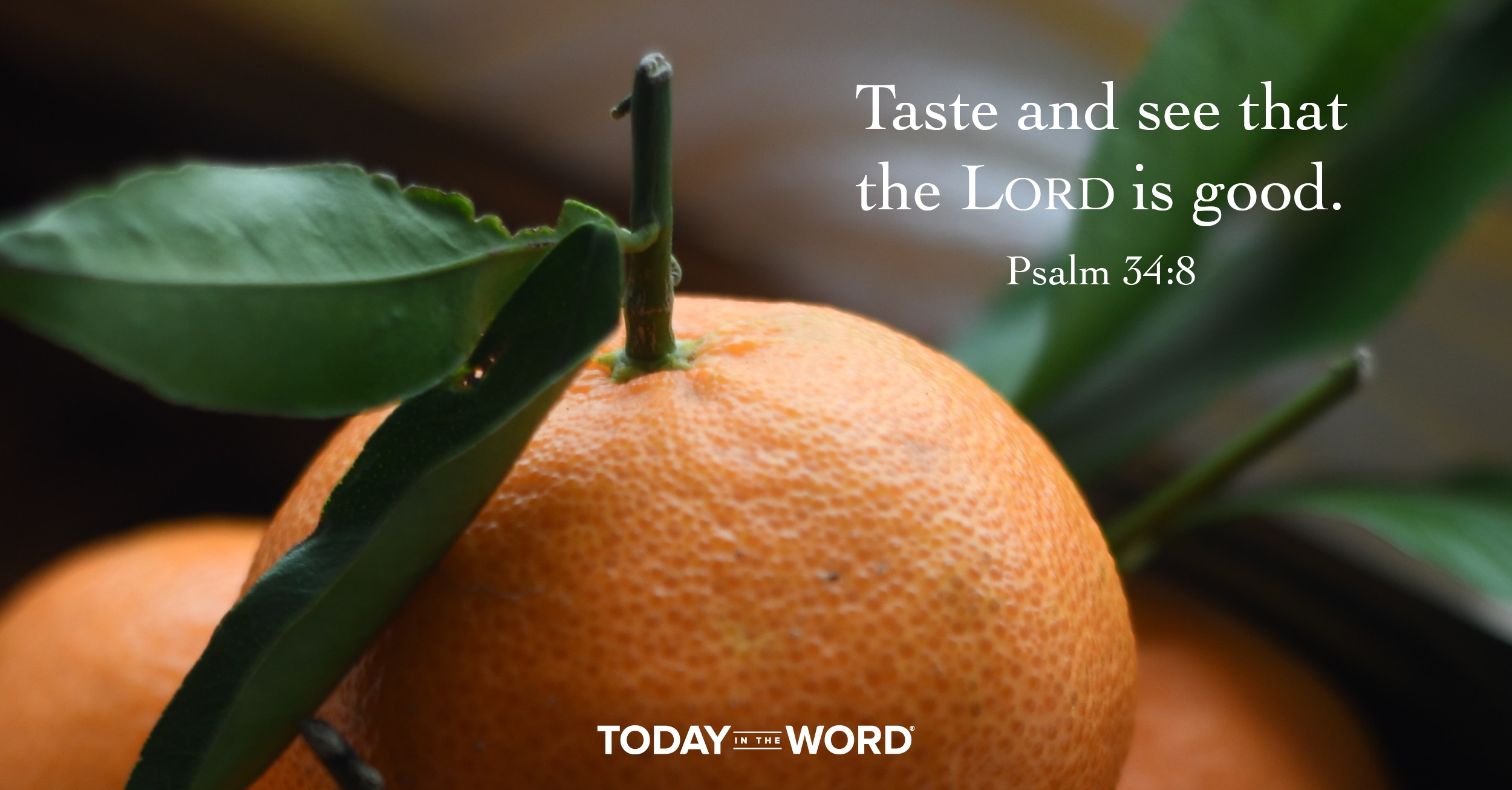 Daily Devotional Bible Verse | Psalm 34:8 Taste and see that the Lord is good.