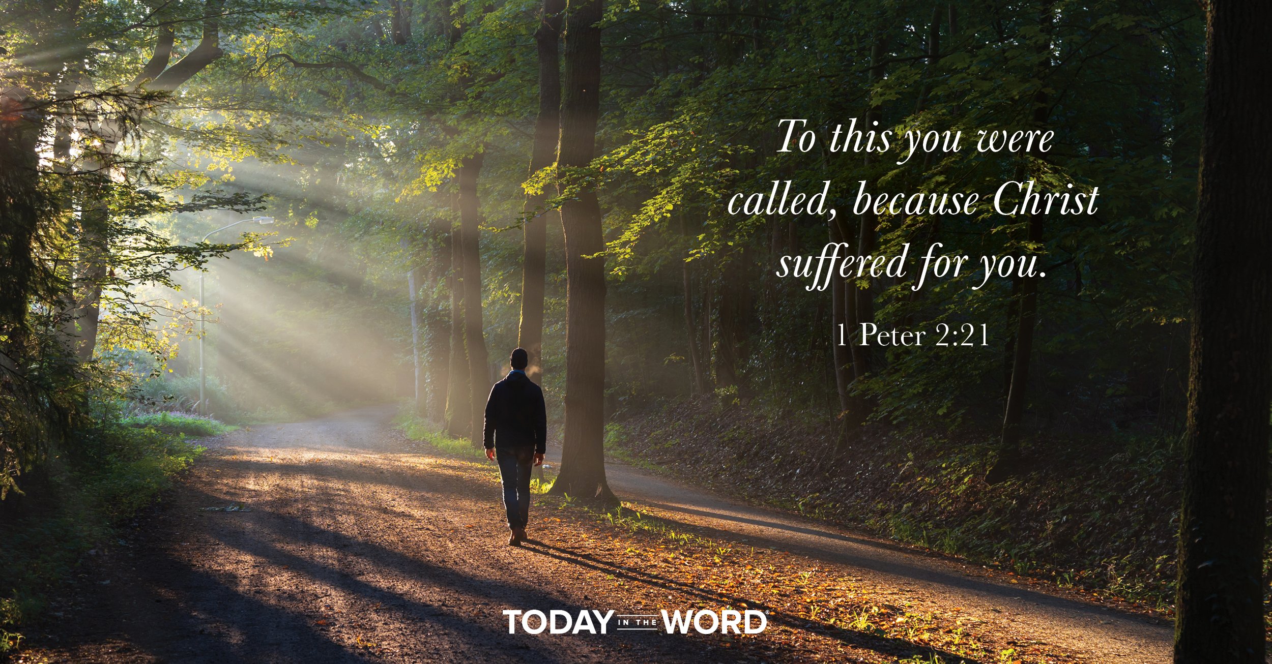 Daily Devotional Bible Verse | 1 Peter 2:21 To this you were called, because Christ suffered for you.