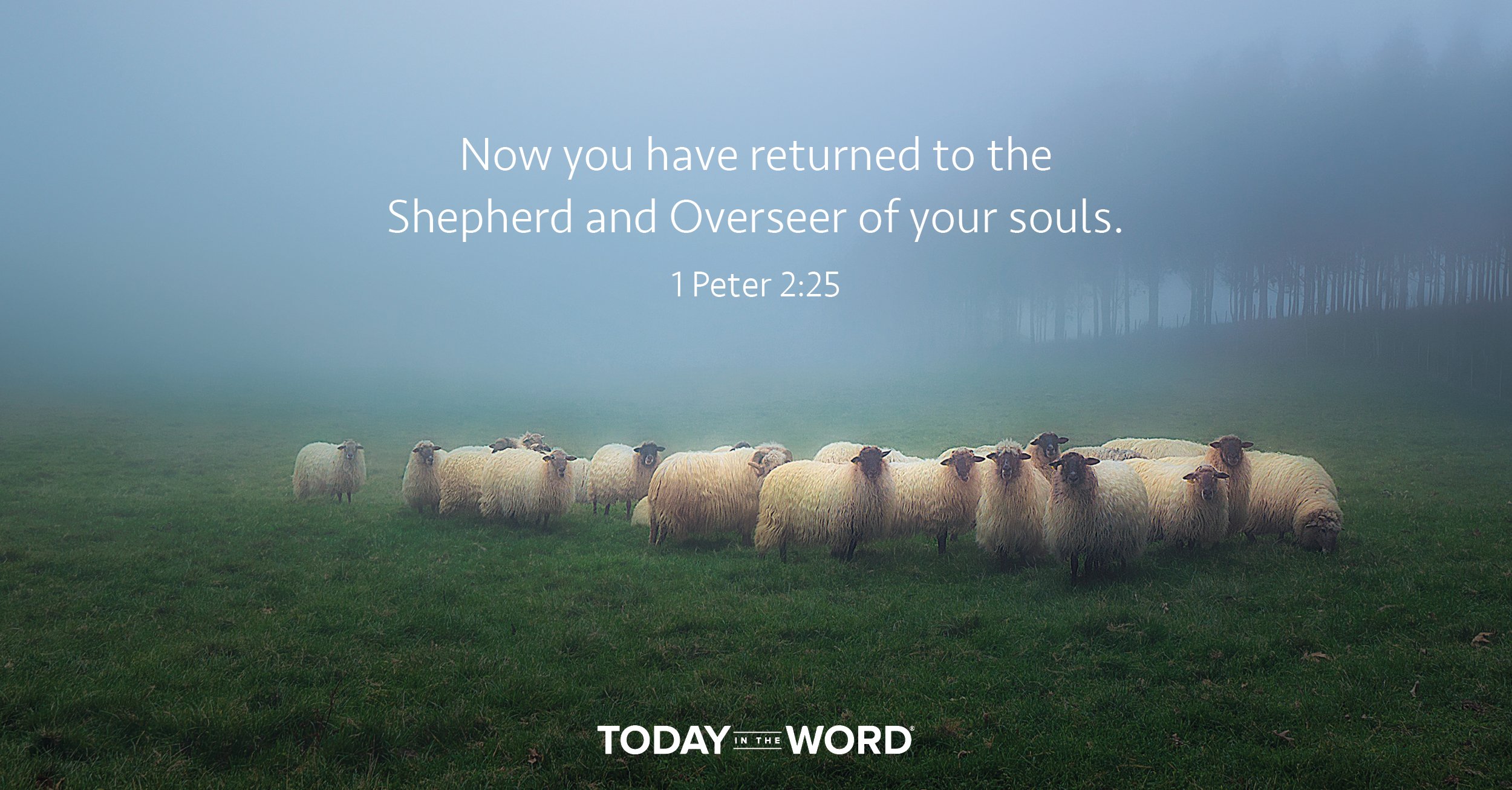 Daily Devotional Bible Verse | 1 Peter 2:25 Now you have returned to the Shepheard and Overseer of your souls.