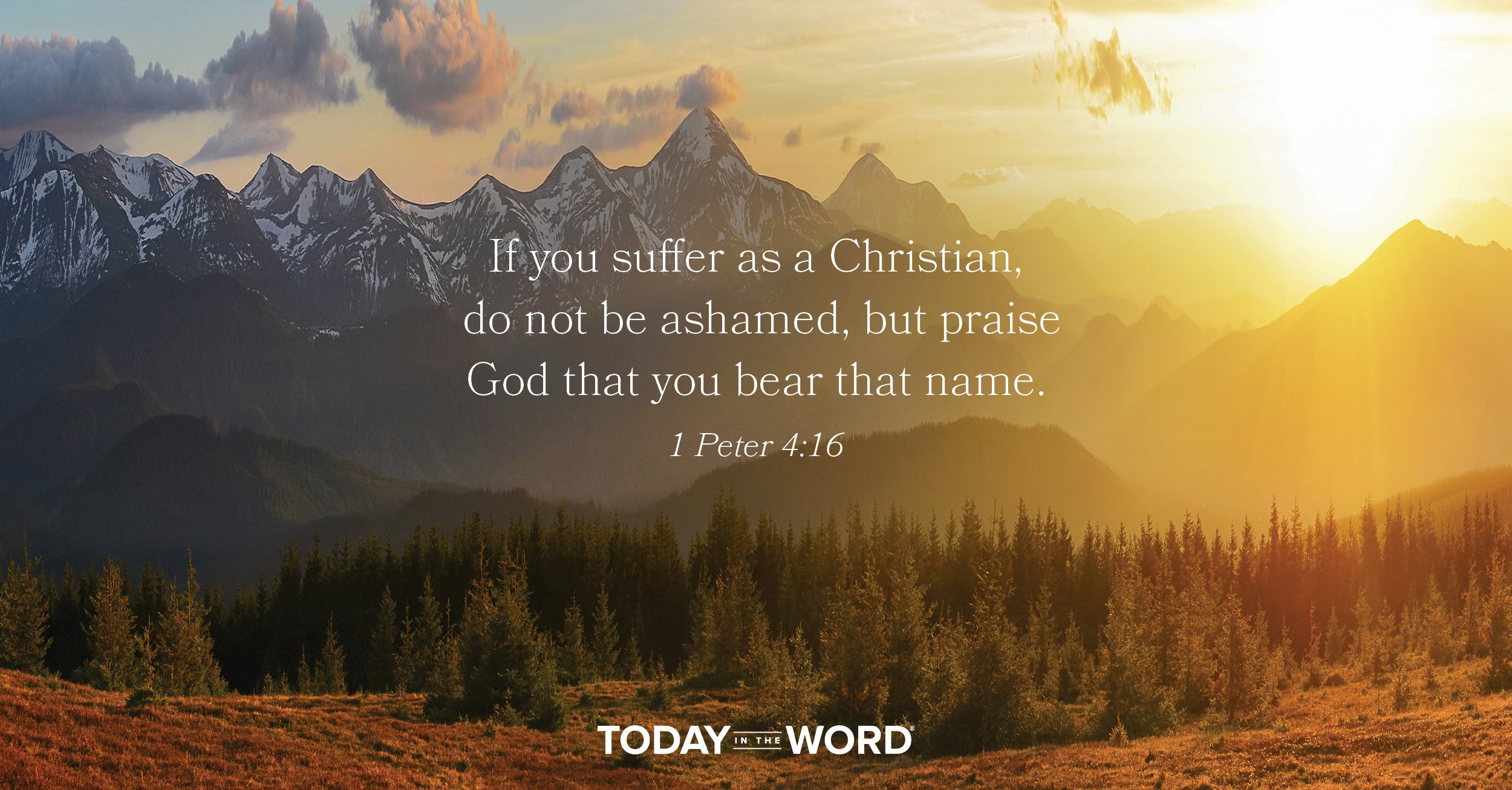 Daily Devotional Bible Verse | 1 Peter 4:16 If you suffer as a Christian, do not be ashamed, but praise God that you bear that name.