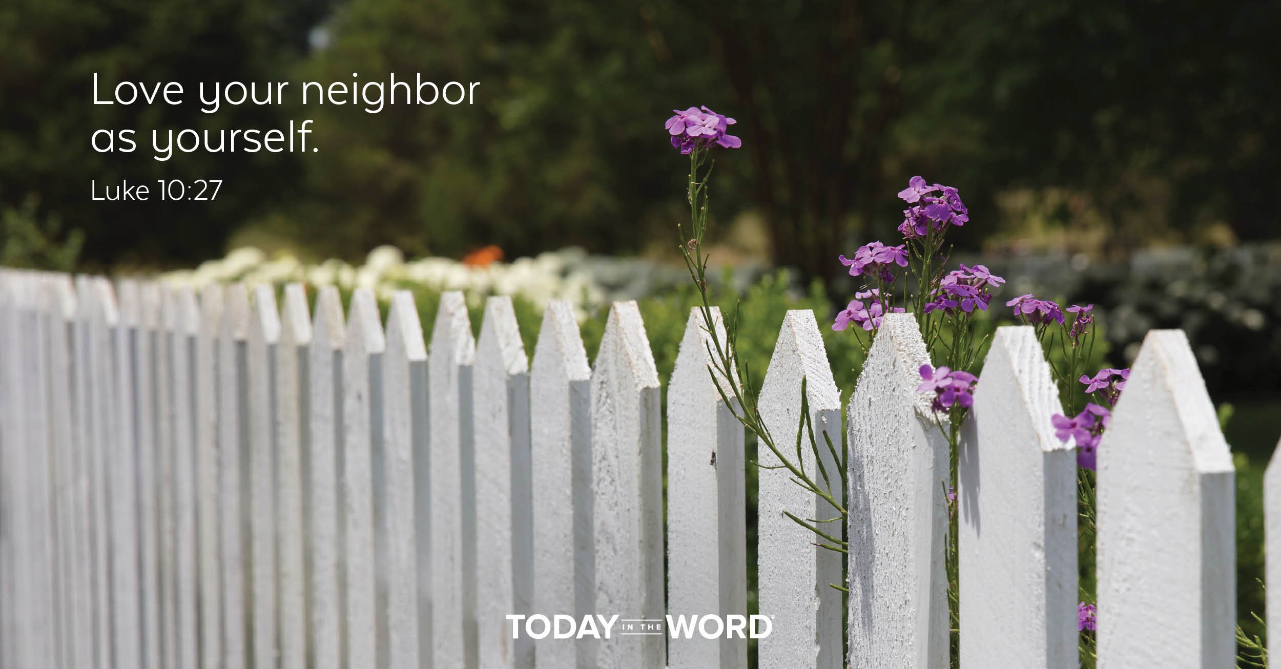 Daily Devotional Bible Verse | Luke 10:27 Love your neighbor as yourself.