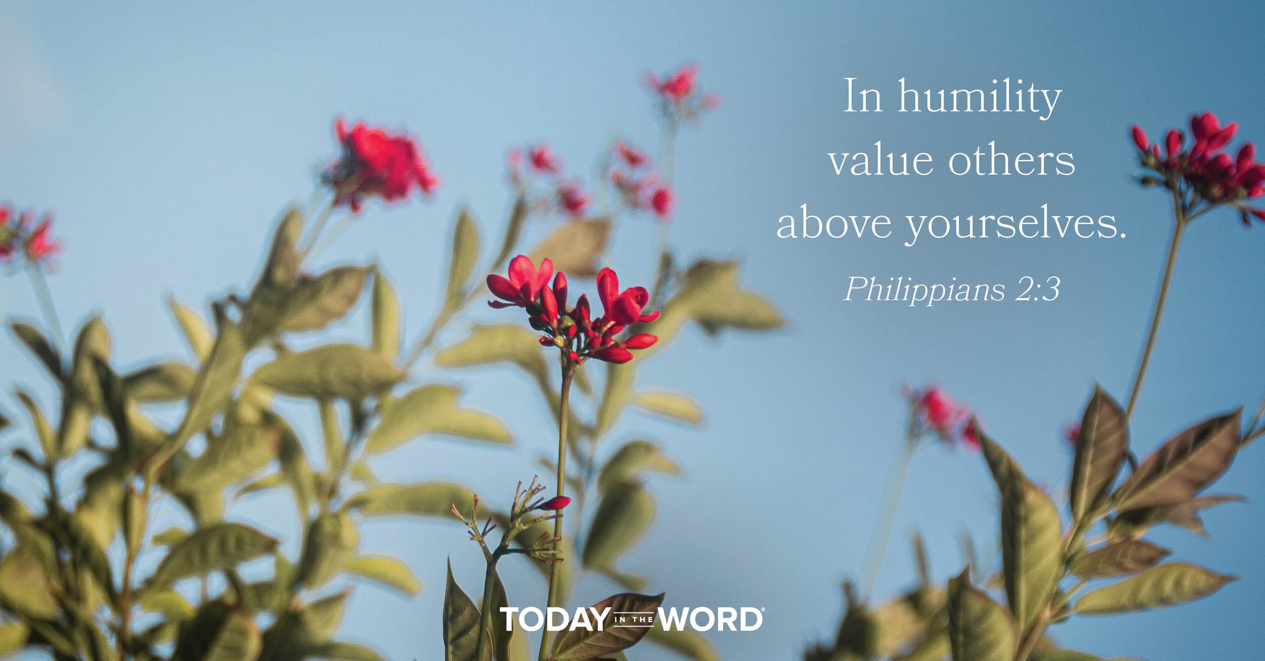 Daily Devotional Bible Verse | Philippians 2:3 In humility value others above yourselves.