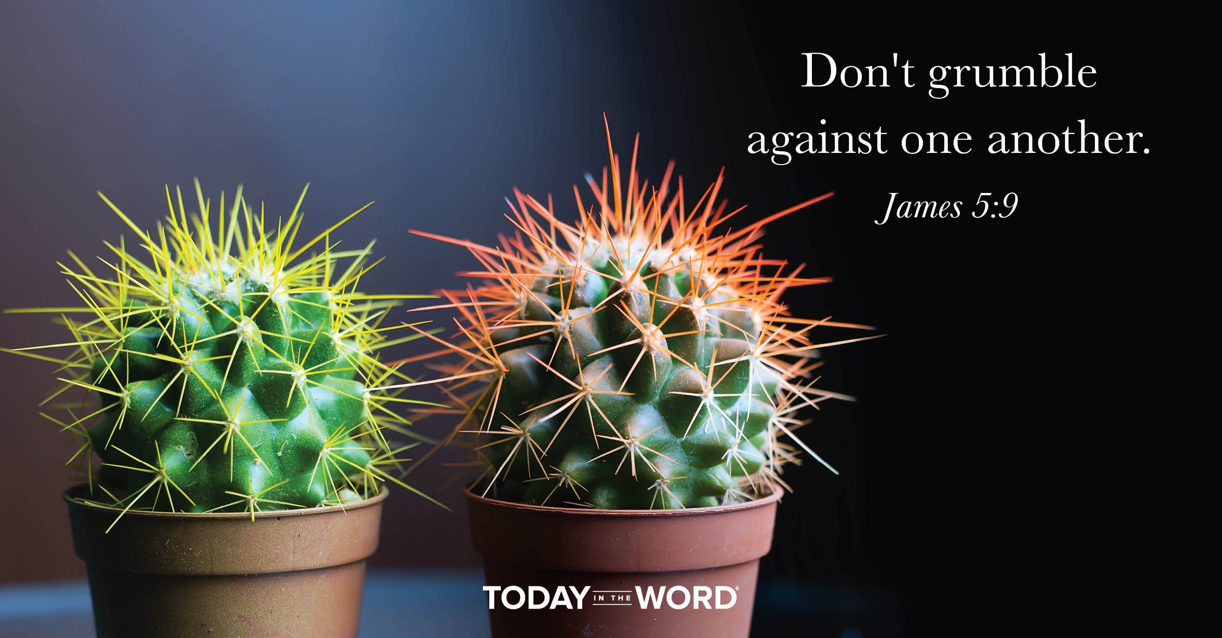 Daily Devotional Bible Verse | James 5:9 Don't grumble against one another.