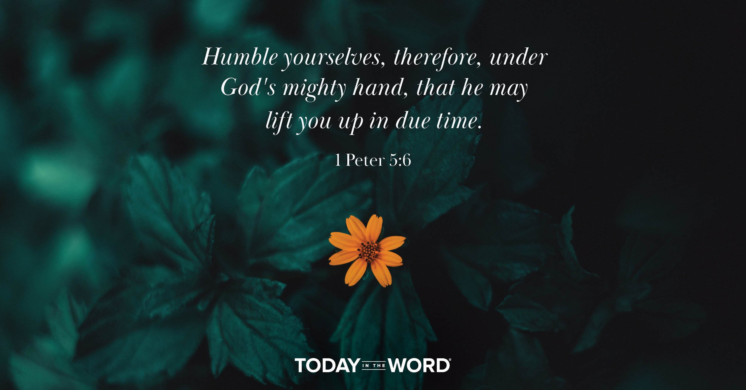 Daily Devotional Bible Verse | 1 Peter 5:6 Humble yourselves, therefore, under God's mighty hand, that he may lift you up in due time.