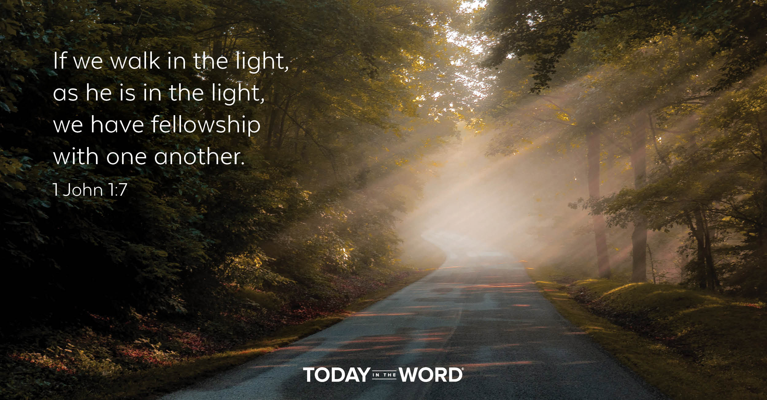 Daily Devotional Bible Verse | 1 John 1:7 If we walk in the light, as he is in the light, we have fellowship with one another.