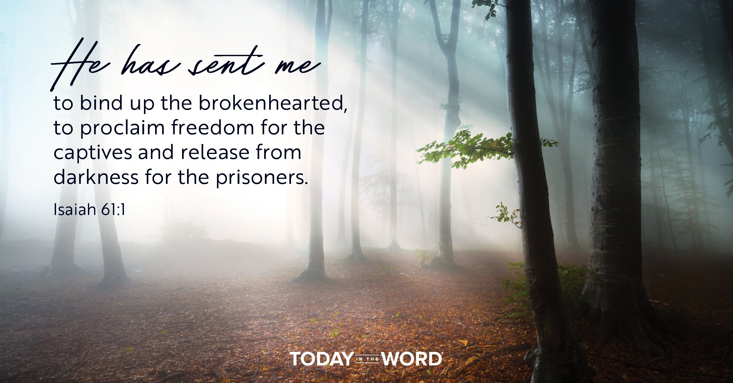 Daily Devotional Bible Verse | Isaiah 61:1 He has sent me to bind up the brokenhearted, to proclaim freedom for the captives and release from darkness for the prisoners.