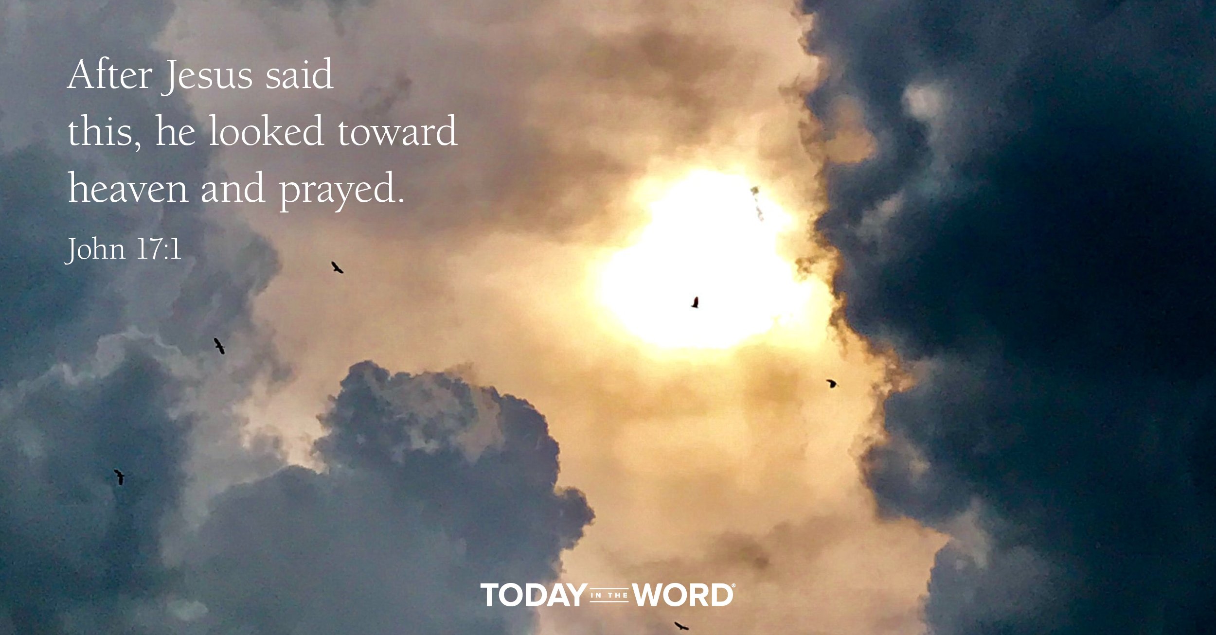 Daily Devotional Bible Verse | John 17:1 After Jesus said this, he looked toward heaven and prayed.