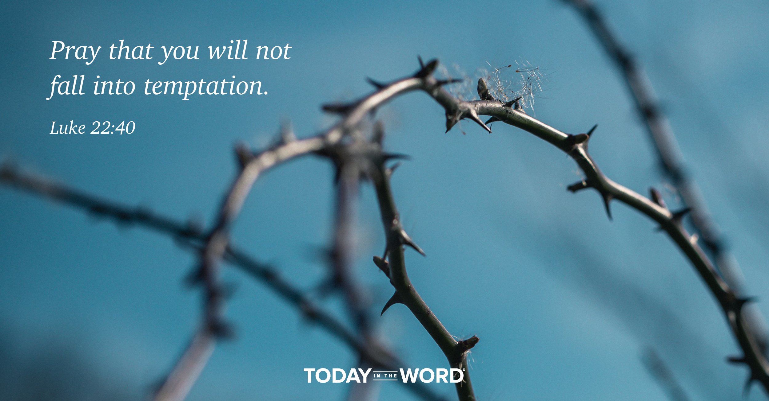 Daily Devotional Bible Verse | Luke 22:40 Pray that you will not fall into temptation.