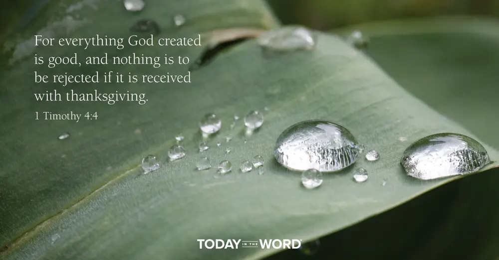 Daily Devotional Bible Verse | 1 Timothy 4:4 For everything God created is good, and nothing is to be rejected if it is received with thanksgiving.