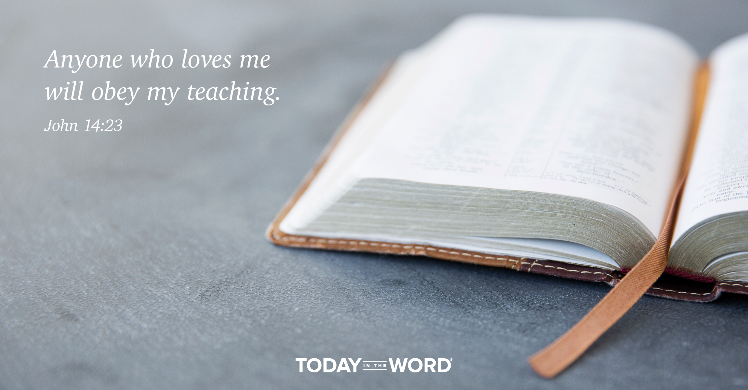 Daily Devotional Bible Verse | John 14:23 Anyone who loves me will obey my teaching.