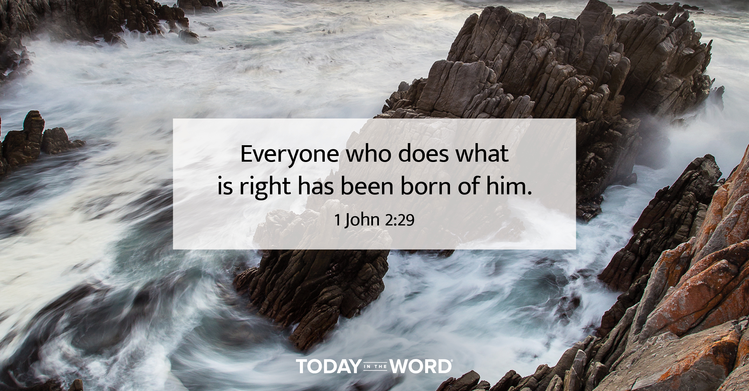 Daily Devotional Bible Verse | 1 John 2:29 Everyone who does what is right has been born of him.