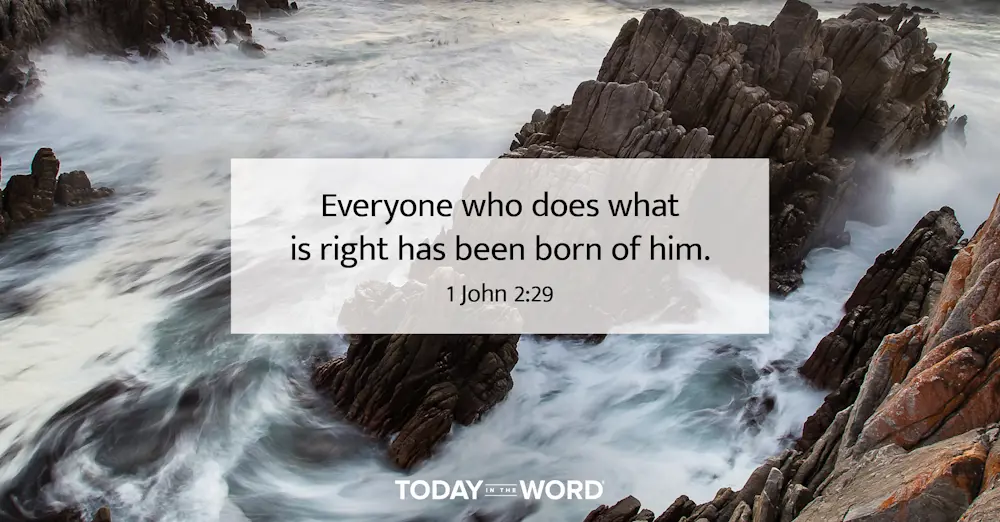 Daily Devotional Bible Verse | 1 John 2:29 Everyone who does what is right has been born of him.