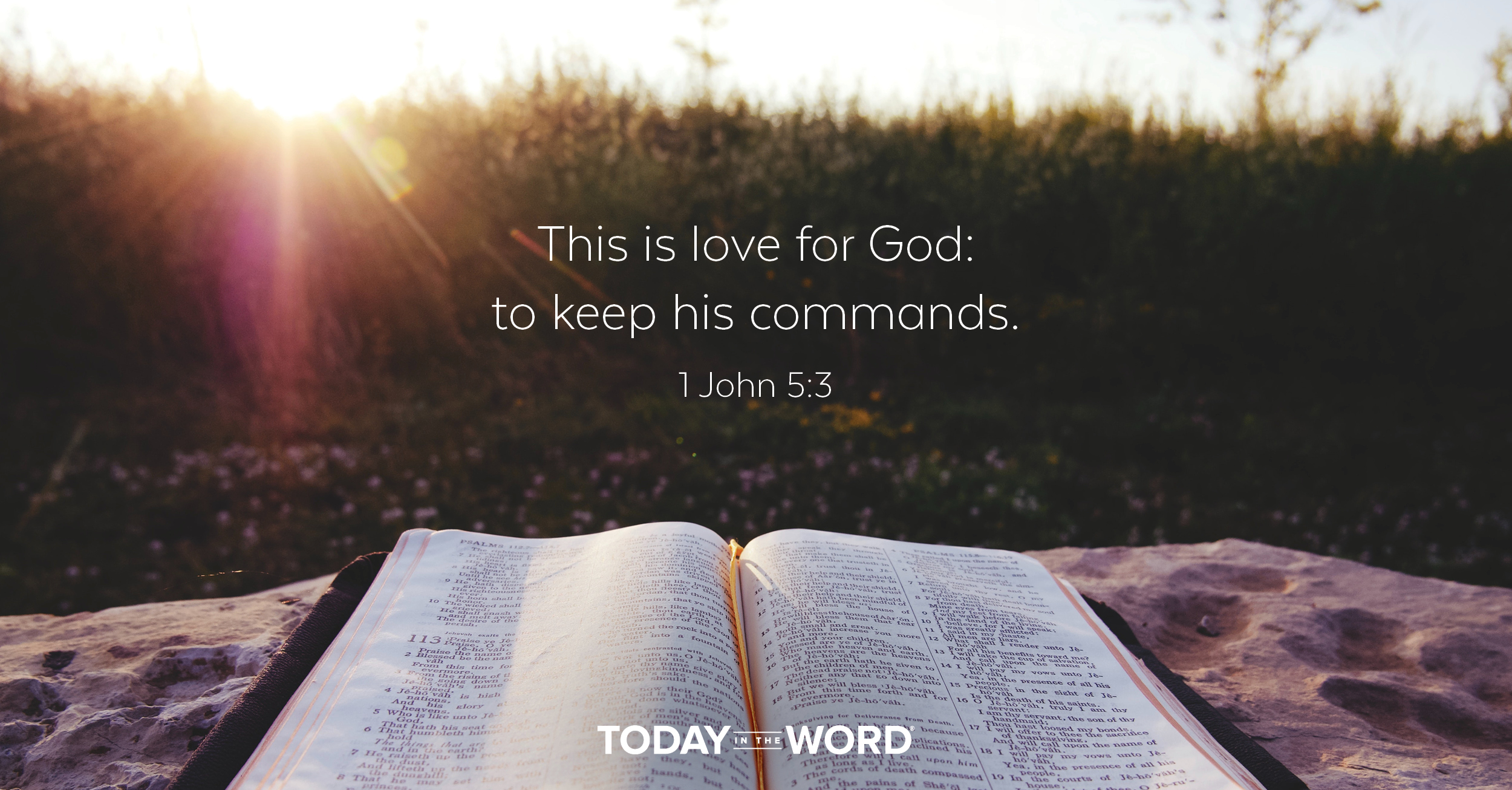 Daily Devotional Bible Verse | 1 John 5:3 This is love for God: to keep his commands.