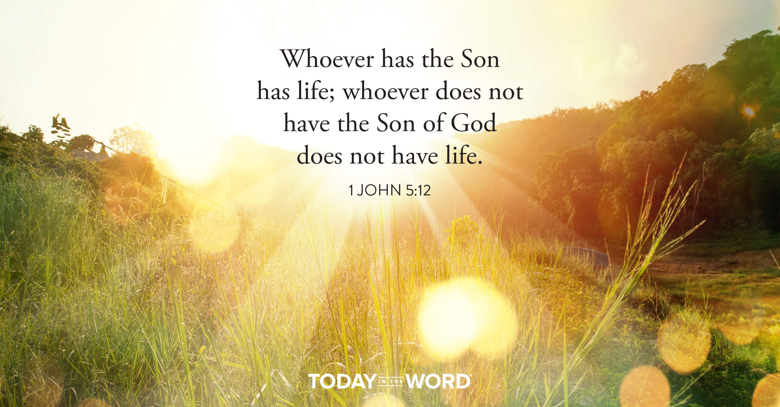 Daily Devotional Bible Verse | 1 John 5:12 Whoever has the Son has life; whoever does not have the Son of God does not have life.