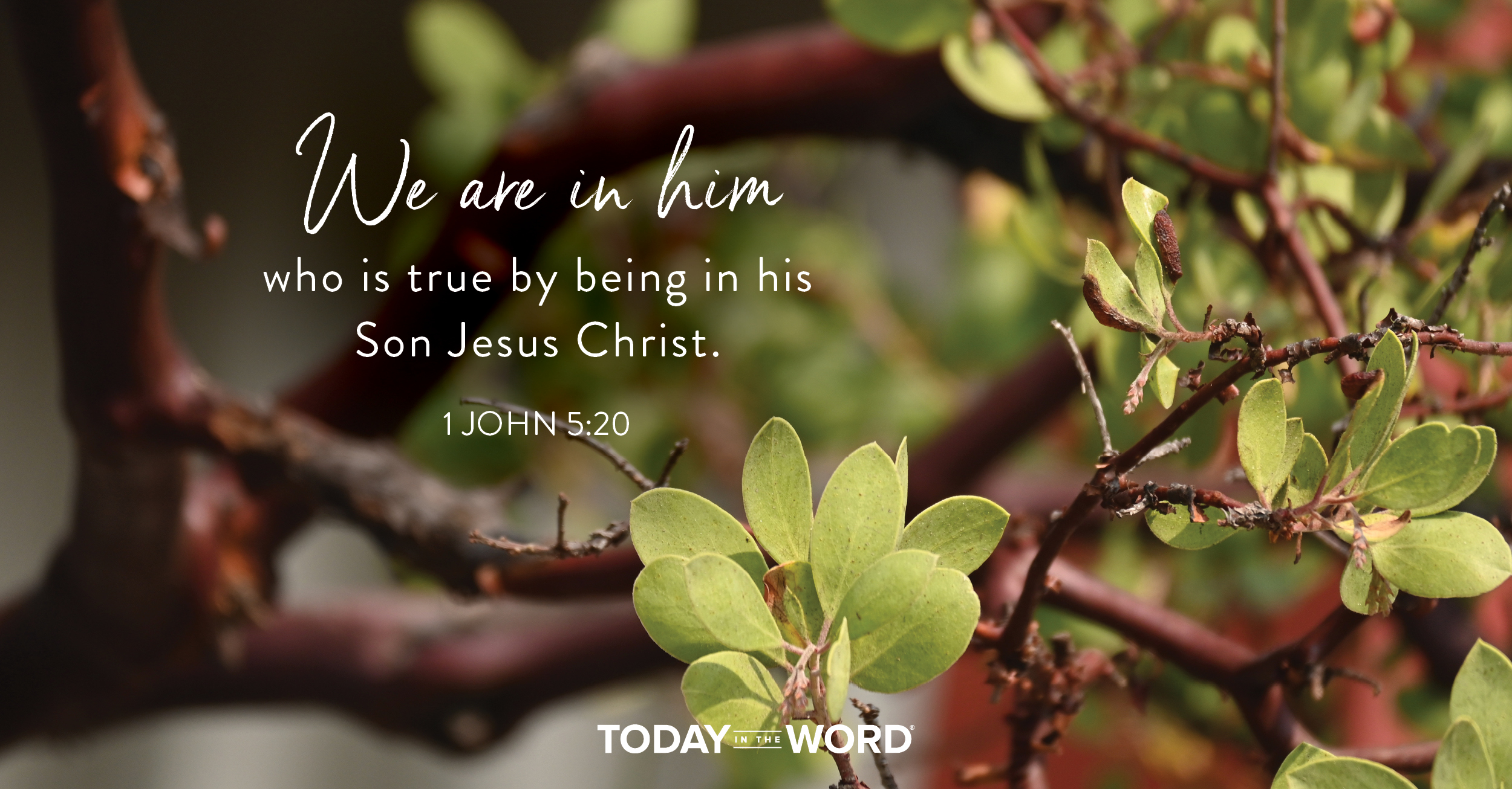 Daily Devotional Bible Verse | 1 John 5:20 We are in him who is true by being in his Son Jesus Christ.