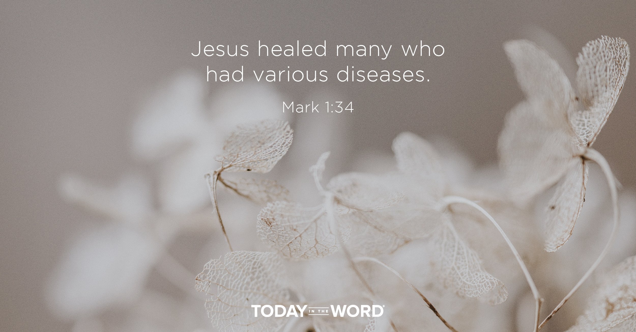 Daily Devotional Bible Verse | Mark 1:34 Jesus healed many who had various diseases.