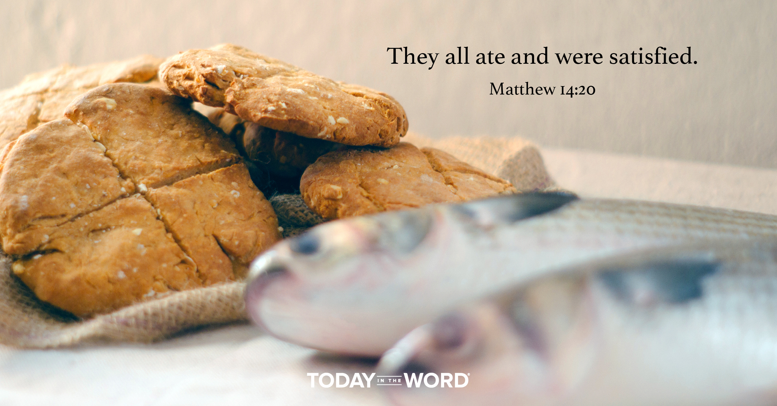 Daily Devotional Bible Verse | Matthew 14:20 They all ate and were satisfied.