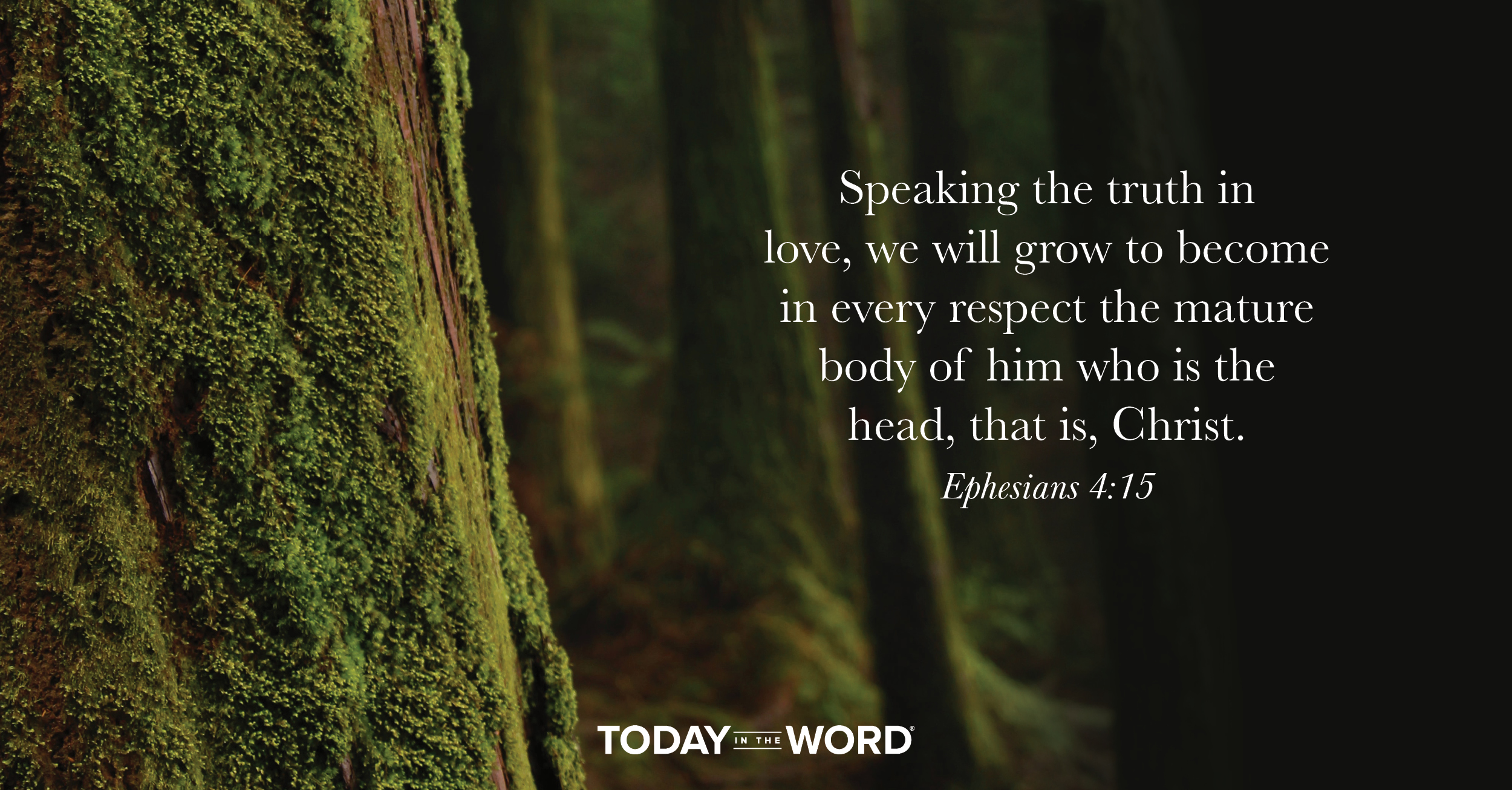 Daily Devotional Bible Verse | Ephesians 4:15 Speaking the truth in love, we will grow to become in every respect the mature body of him who is the head, that is, Christ.