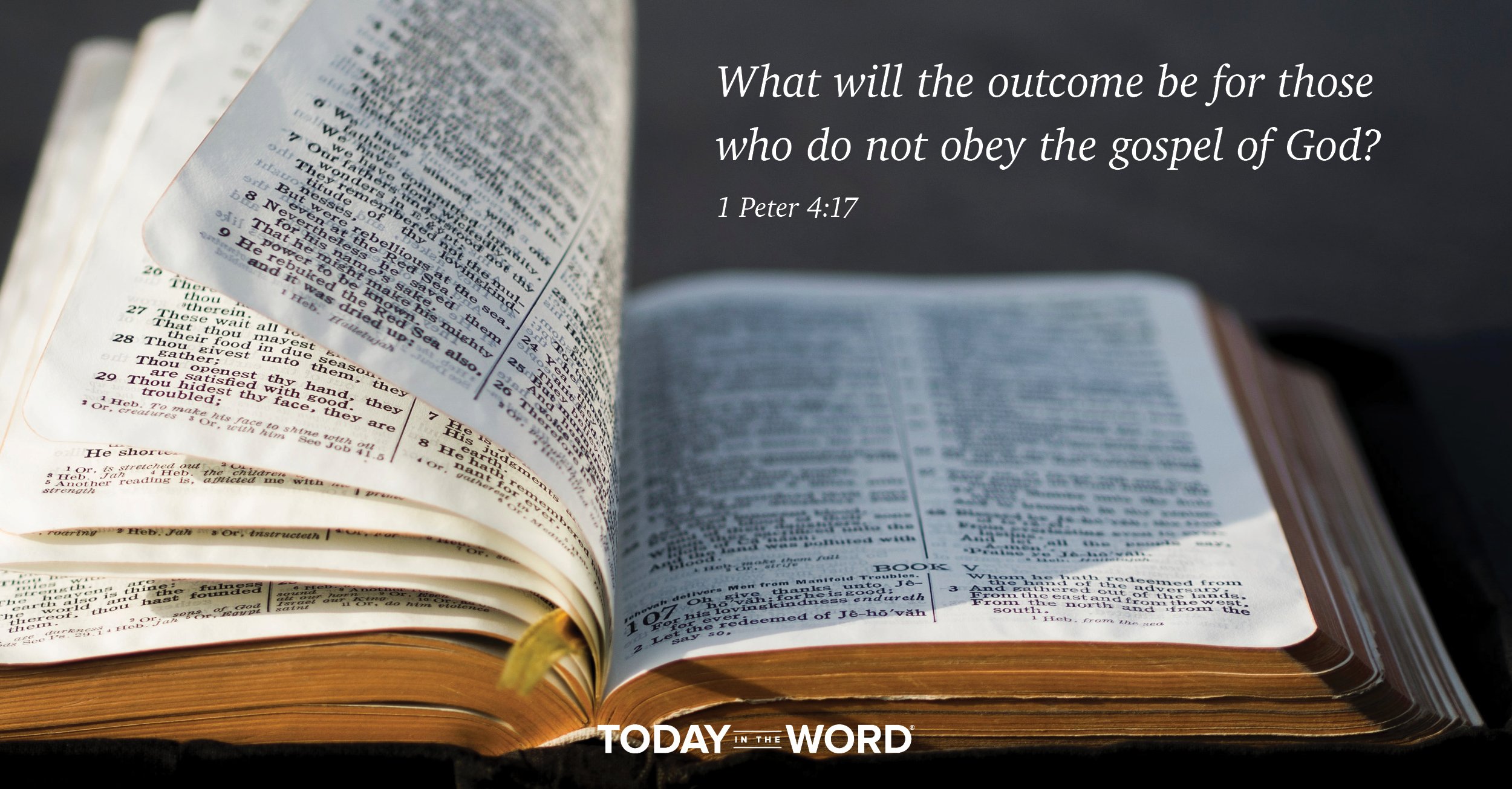 Daily Devotional Bible Verse | 1 Peter 4:17 What will the outcome be for those who do not obey the gospel of God?