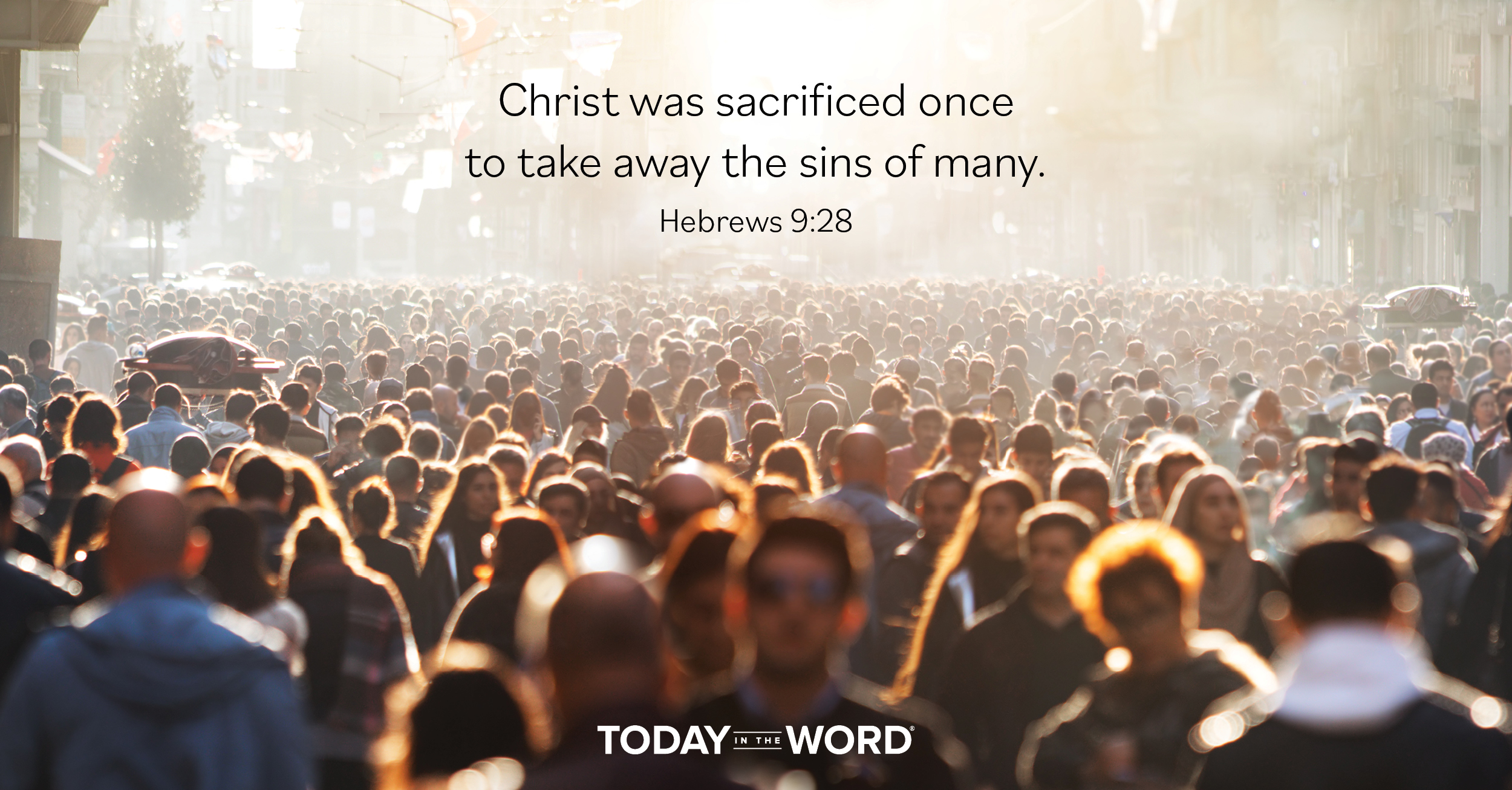 Daily Devotional Bible Verse | Hebrews 9:28 Christ was sacrificed once to take away the sins of many.