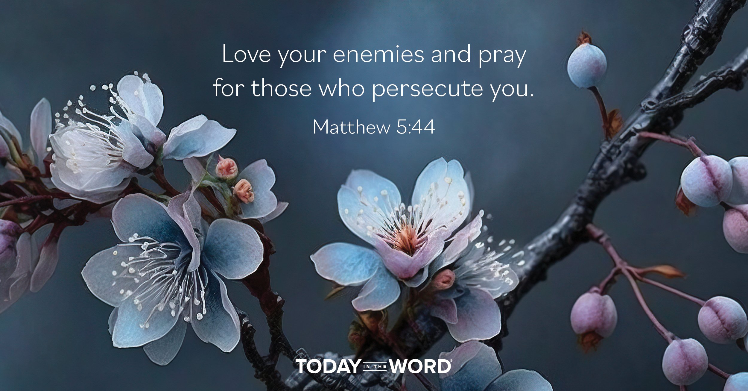 Daily Devotional Bible Verse | Matthew 5:44 Love your enemies and pray for those who persecute you.