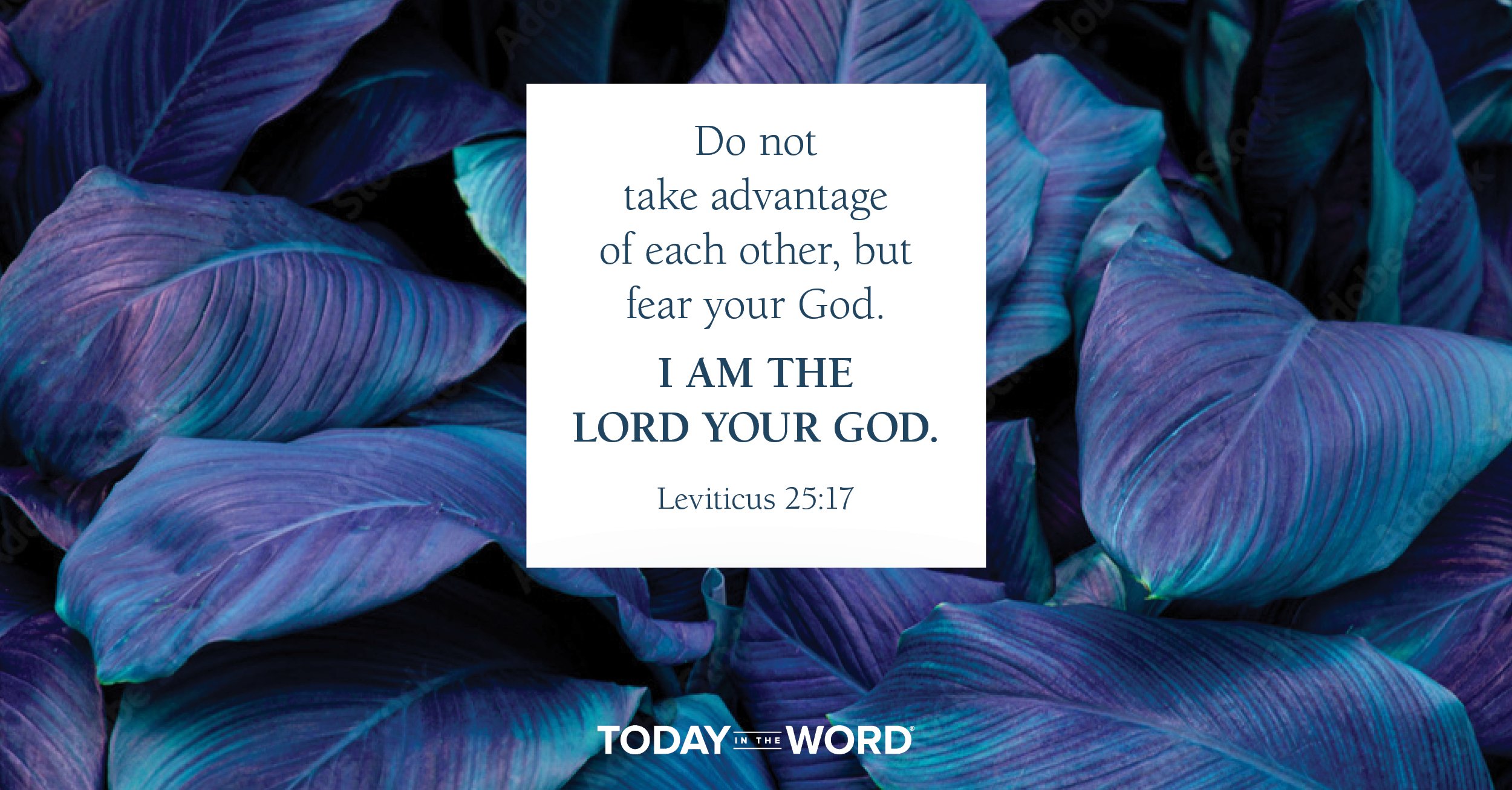 Daily Devotional Bible Verse | Leviticus 25:17 Do not take advantage of each other, but fear your God. I am the Lord your God.