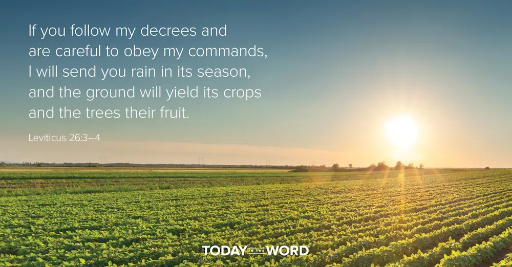 Daily Devotional Bible Verse | Leviticus 26:3-4 If you follow my decrees and are careful to obey my commands, I will send you rain in its season, and the ground will yield its crops and the trees their fruit.